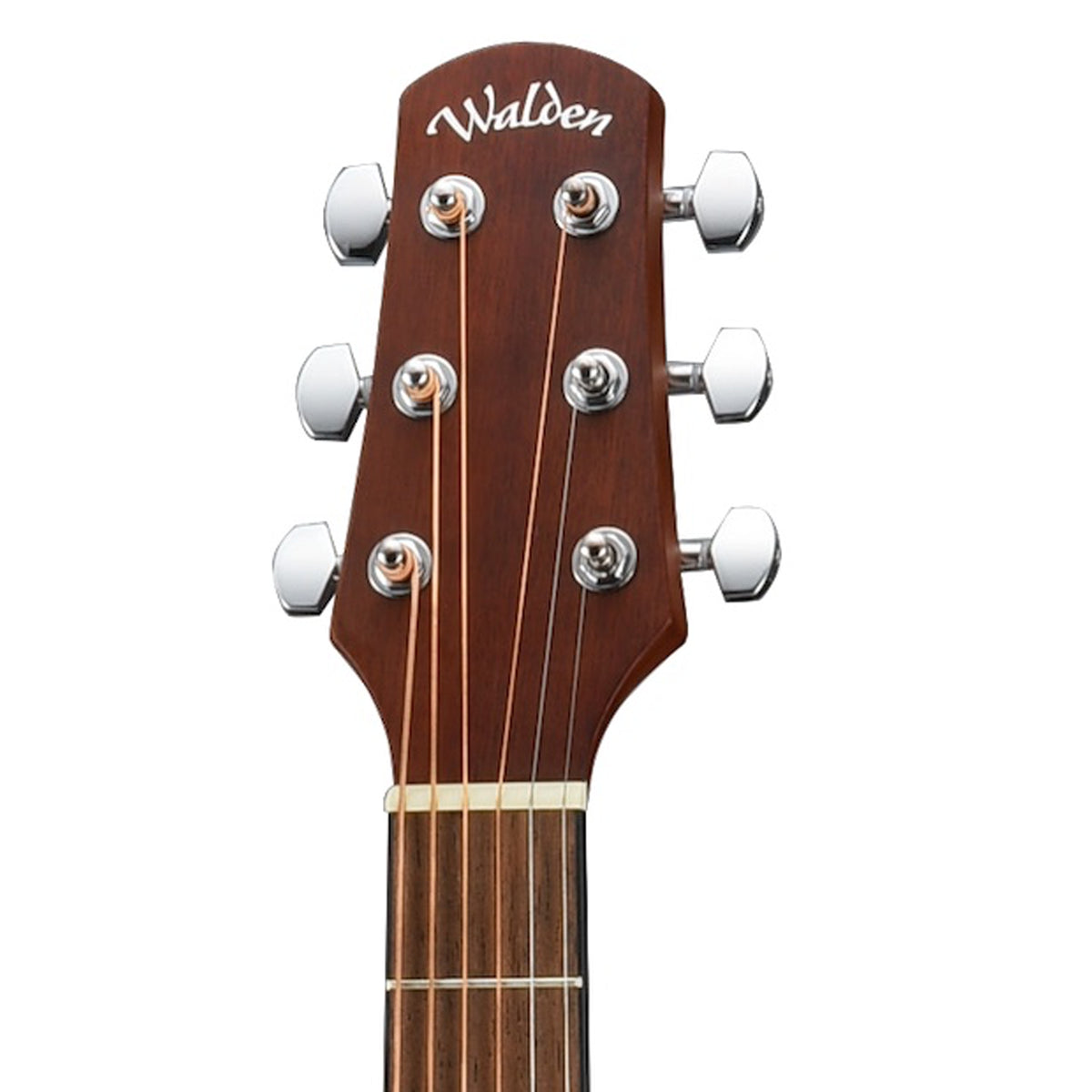 Walden Guitars headstock