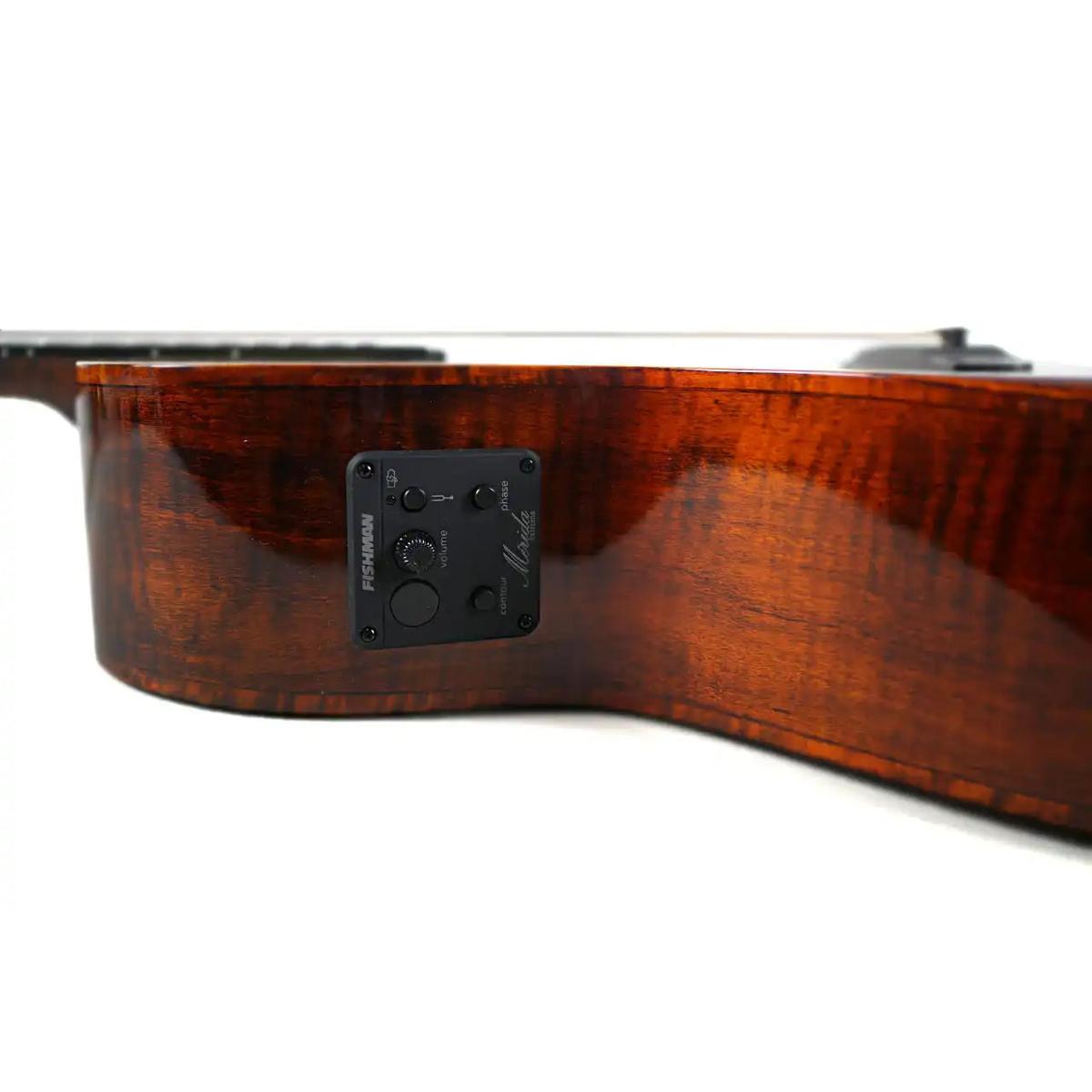 DTGC_EQ_7 | Terry Carter Music Store
