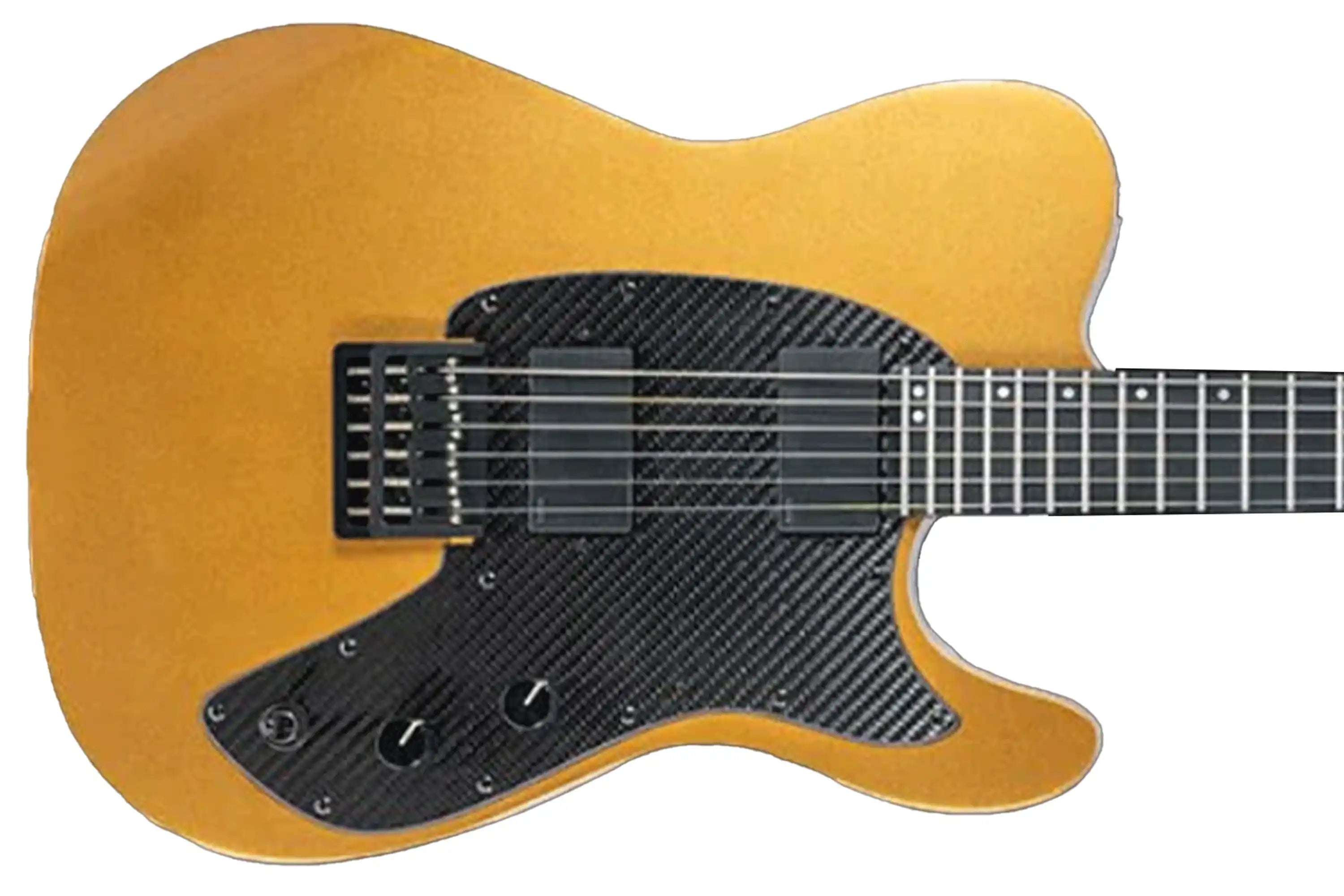 E_CS_TEL_22_GOLD_HH2 | Terry Carter Music Store