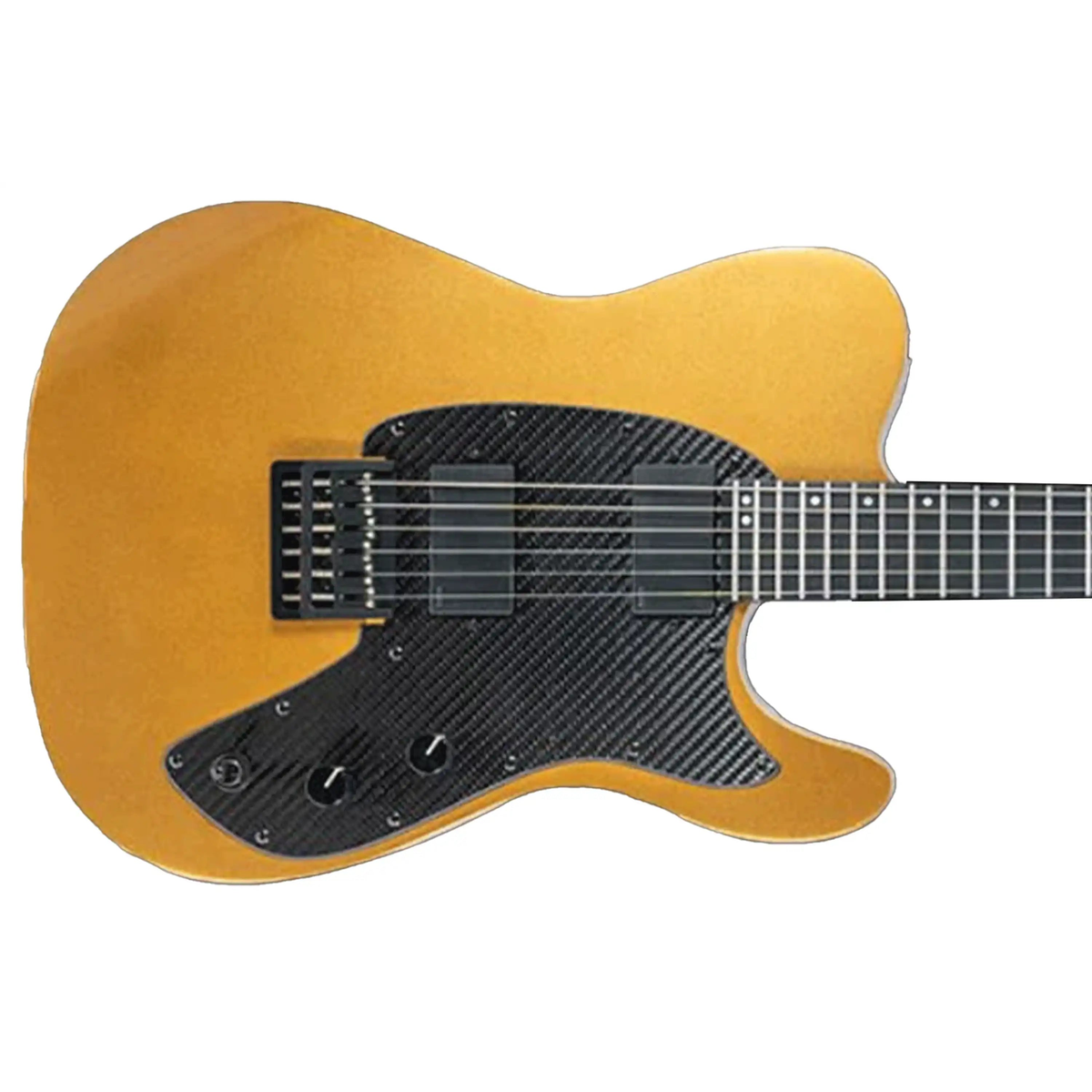 E_CS_TEL_22_GOLD_HH2 | Terry Carter Music Store