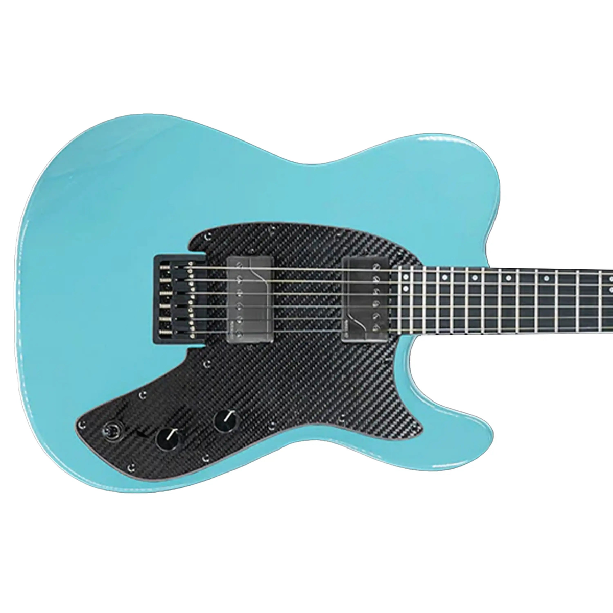 E_CS_TEL_22_STONEBL_HH_UP-FISHMAN2KNOB2 | Terry Carter Music Store