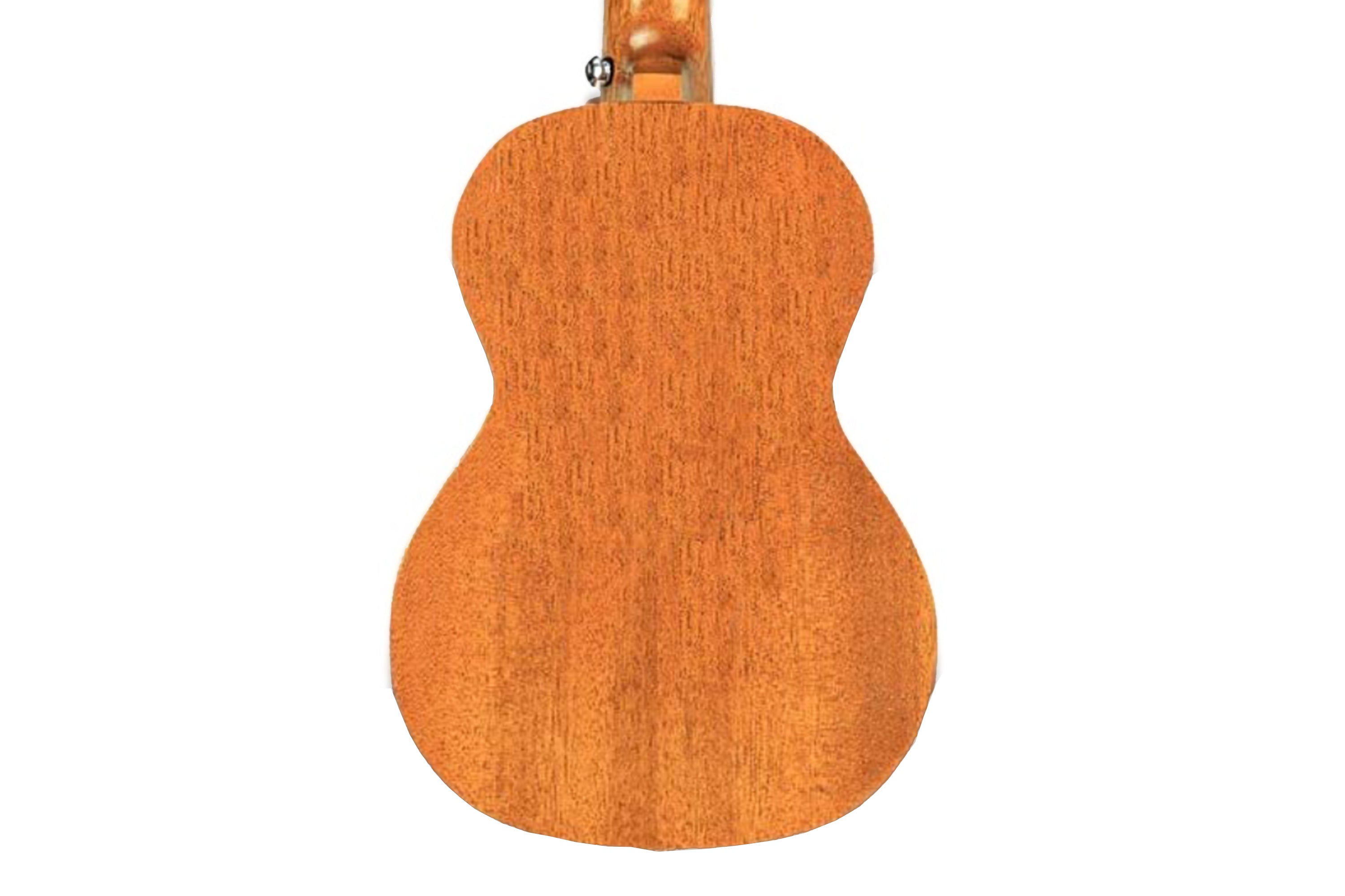 Enya EUC-25D Mahogany Concert Ukulele