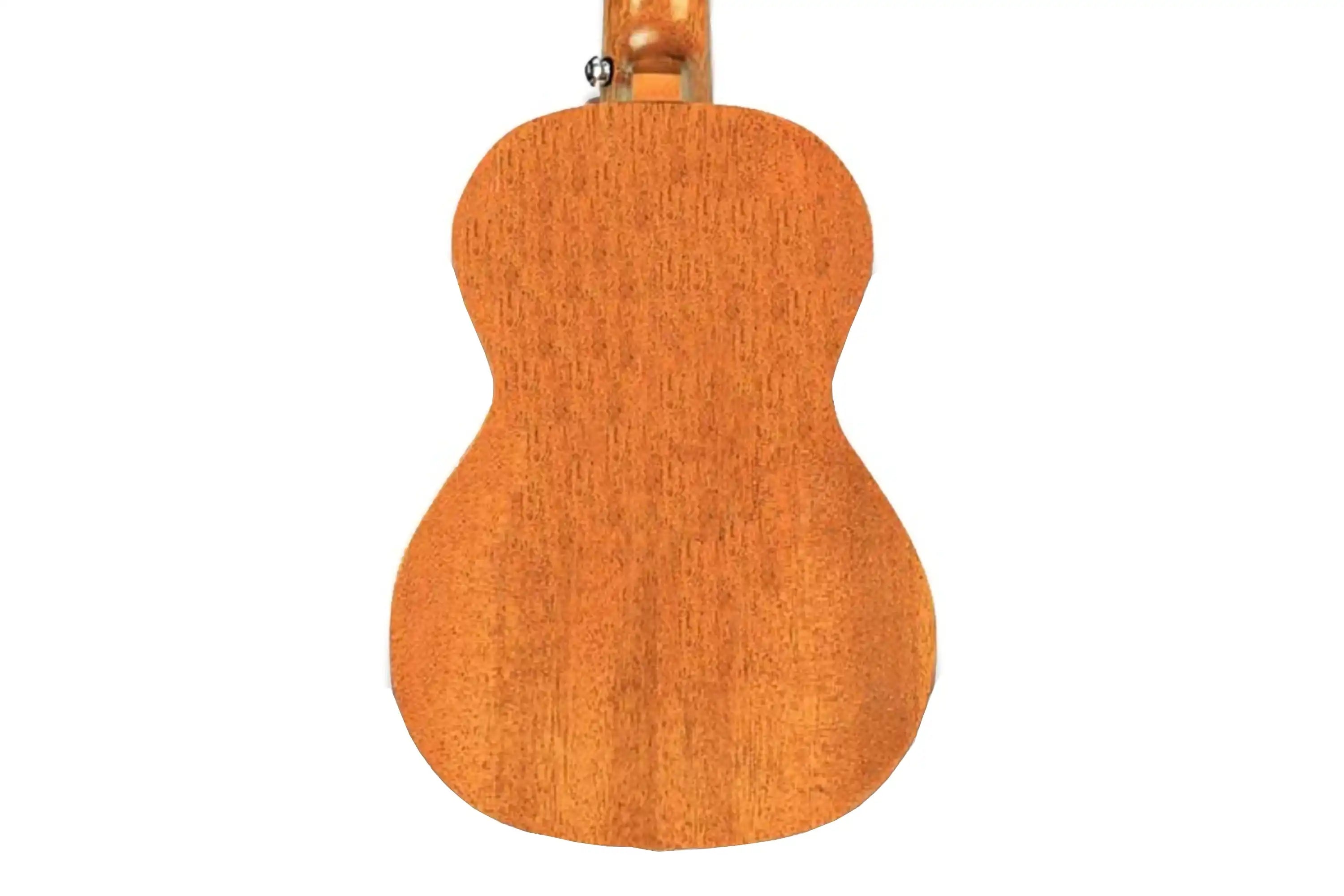 Enya-EUC-25D-Mahogany-Concert-Ukulele1_cc3de17a-2b8c-4fbb-9e2f-d91a030e6e53 | Terry Carter Music Store