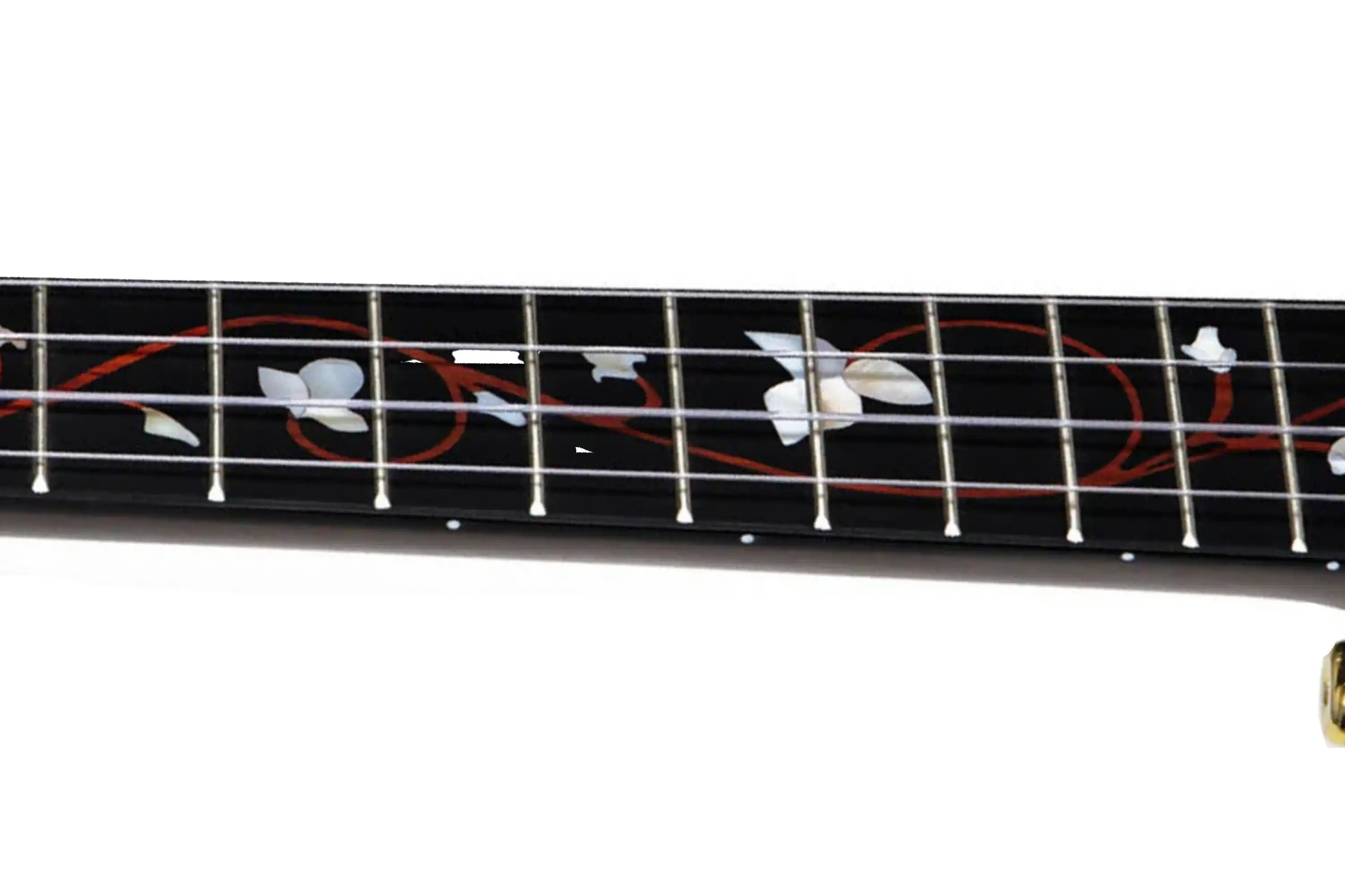 Enya-EUC-M6-Black-Concert-Ukulele5 | Terry Carter Music Store