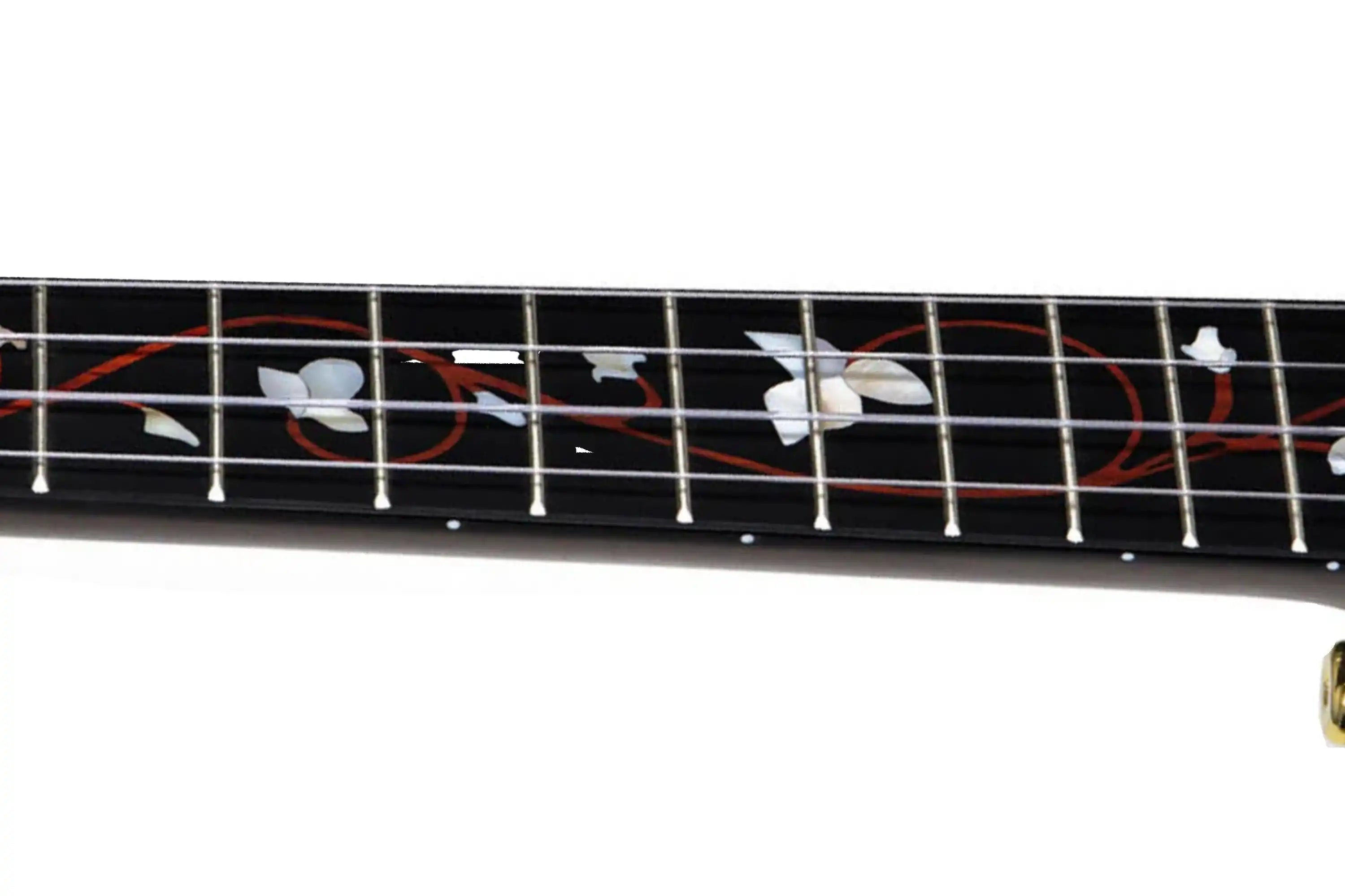 Enya-EUC-M6-Black-Concert-Ukulele5_a225493b-ec8b-4f5c-9067-cd34e67230ae | Terry Carter Music Store