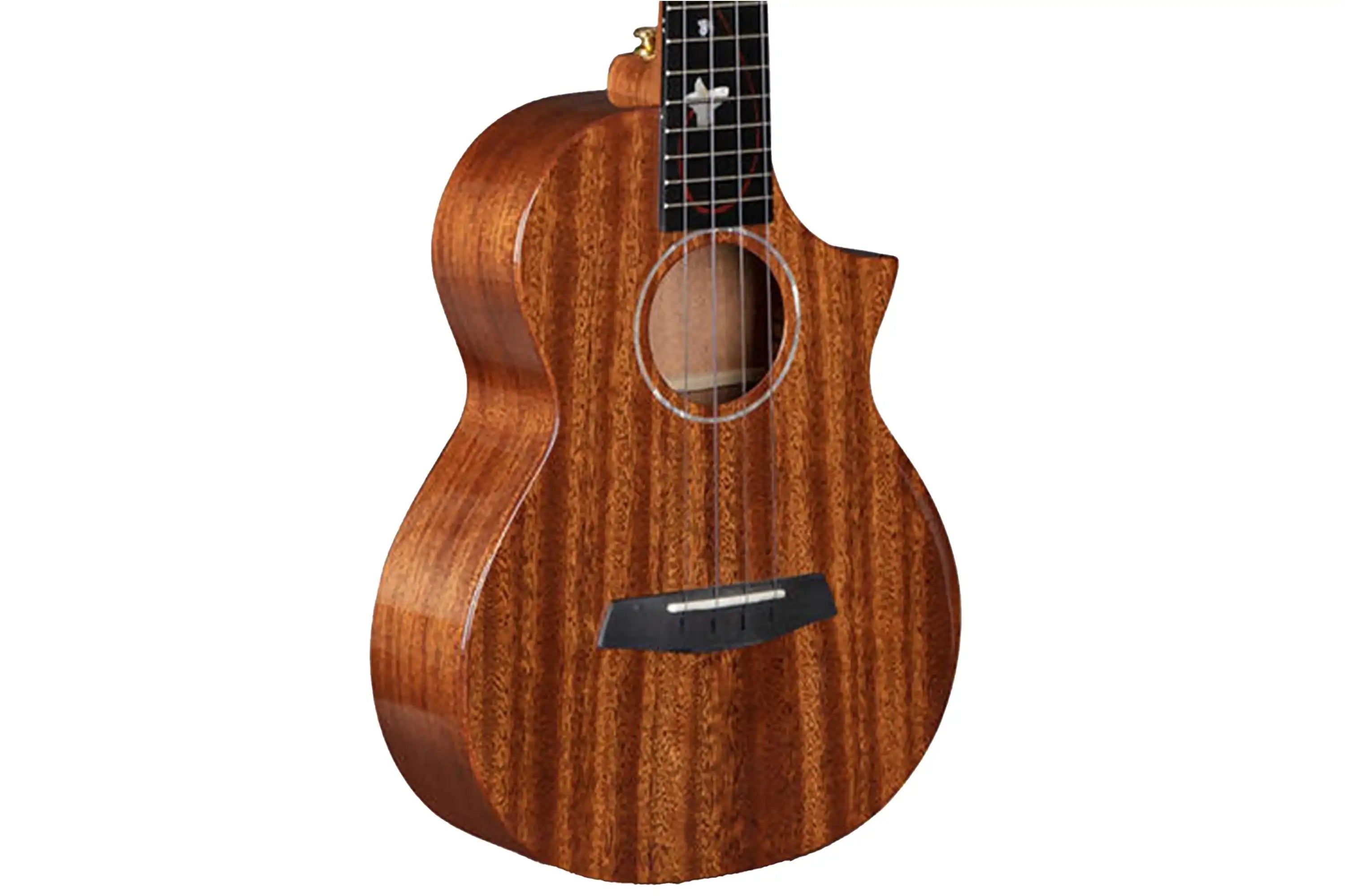 Enya-EUC-M6-Concert-Ukulele1_6cdeeb1c-bf48-4c52-a061-557061f93bef | Terry Carter Music Store