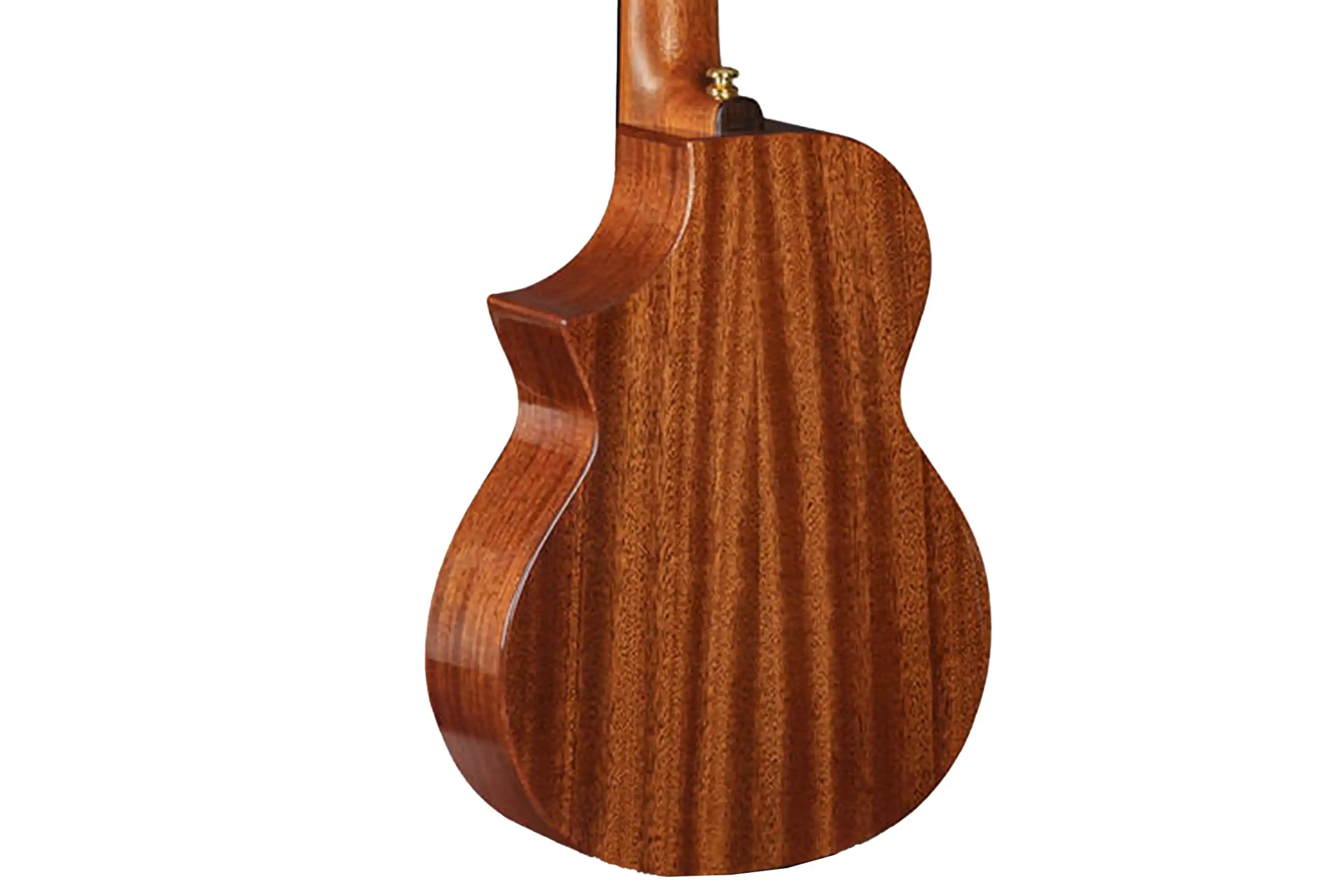 Enya-EUC-M6-Concert-Ukulele4 | Terry Carter Music Store