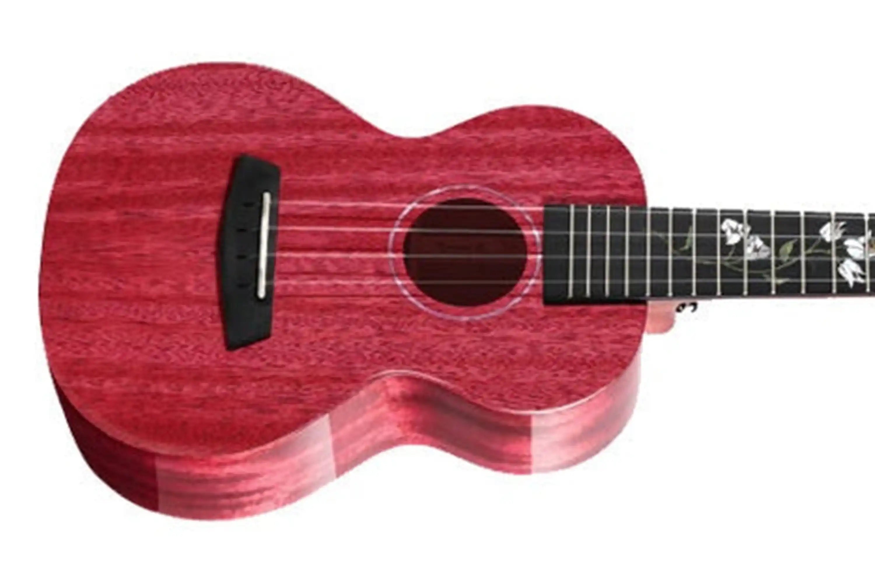 Enya-EUC-MAD-XB-EQ-Concert-Ukulele2 | Terry Carter Music Store