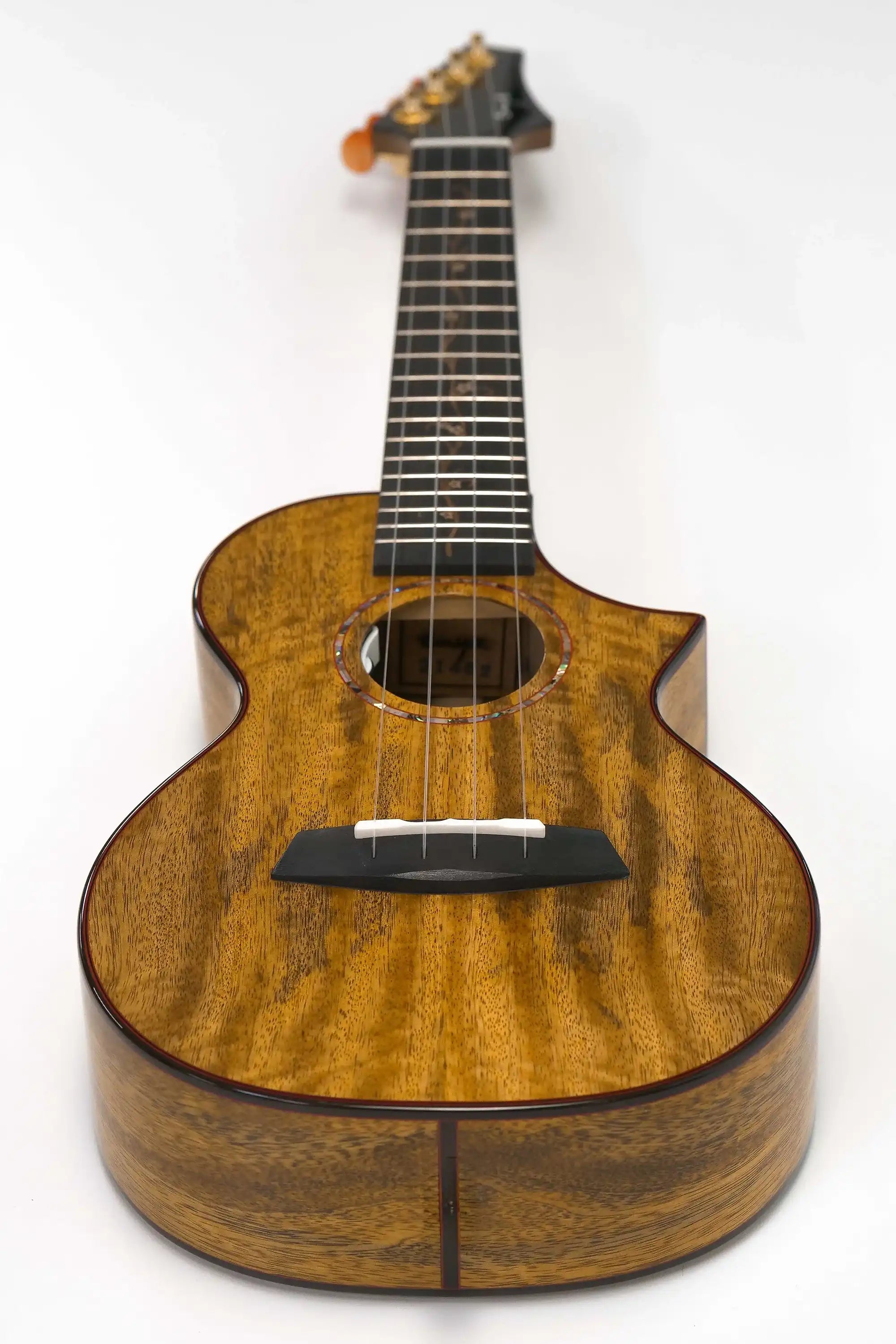 Enya-EUC-MG6-EQ-Concert-Ukulele1 | Terry Carter Music Store