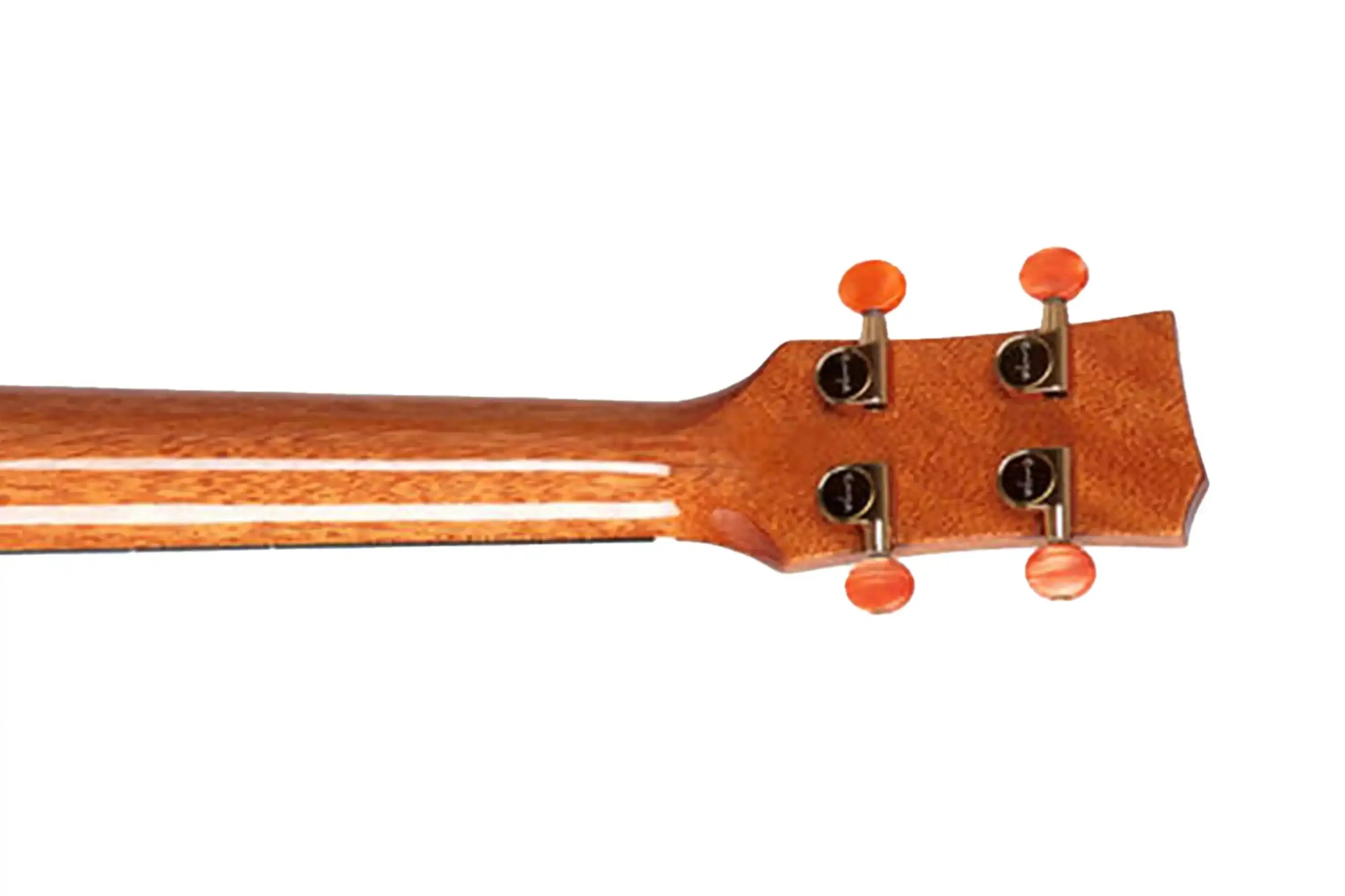 Enya-EUT-FEATHER-Tenor-Ukulele5 | Terry Carter Music Store
