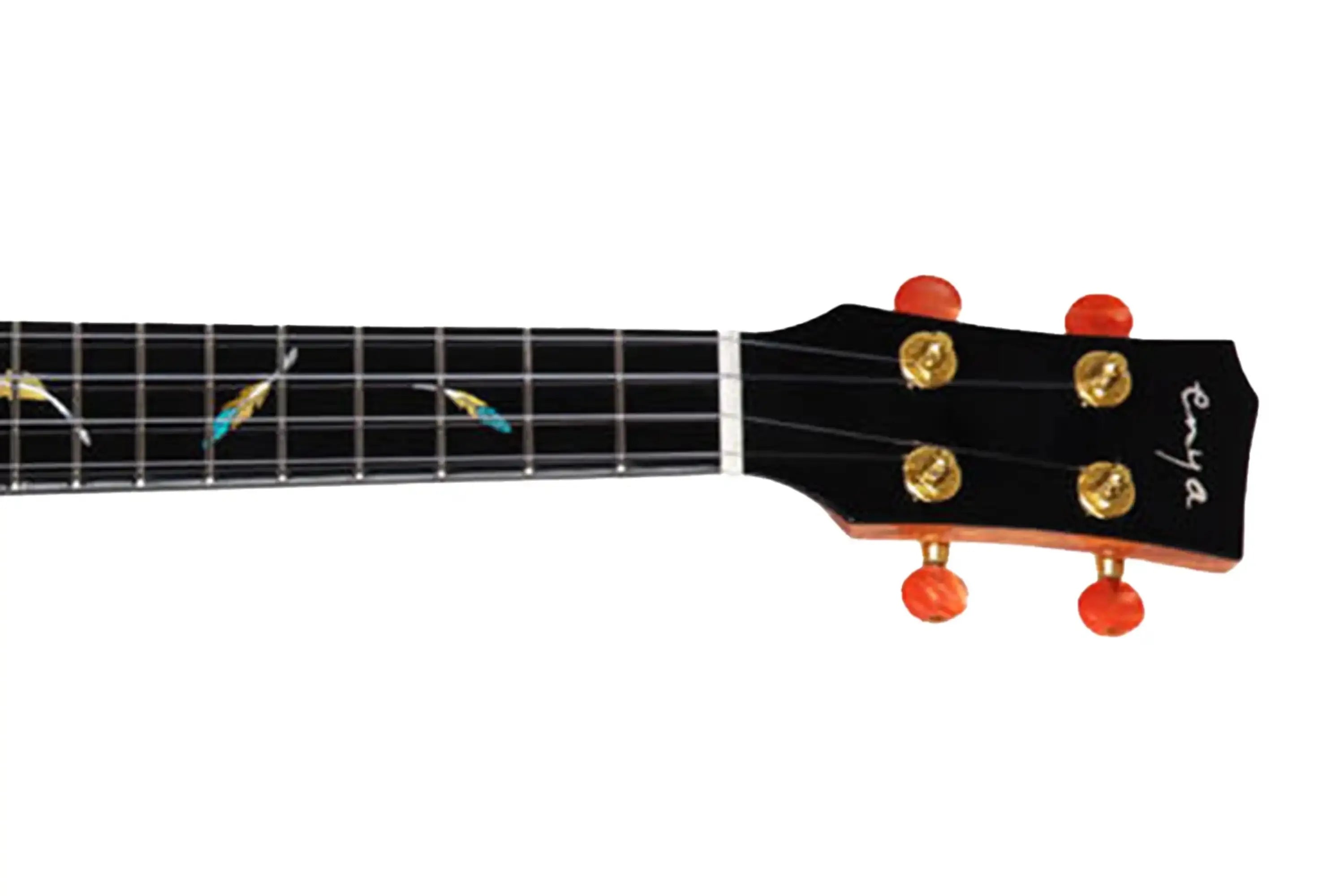 Enya-EUT-FEATHER-Tenor-Ukulele6 | Terry Carter Music Store