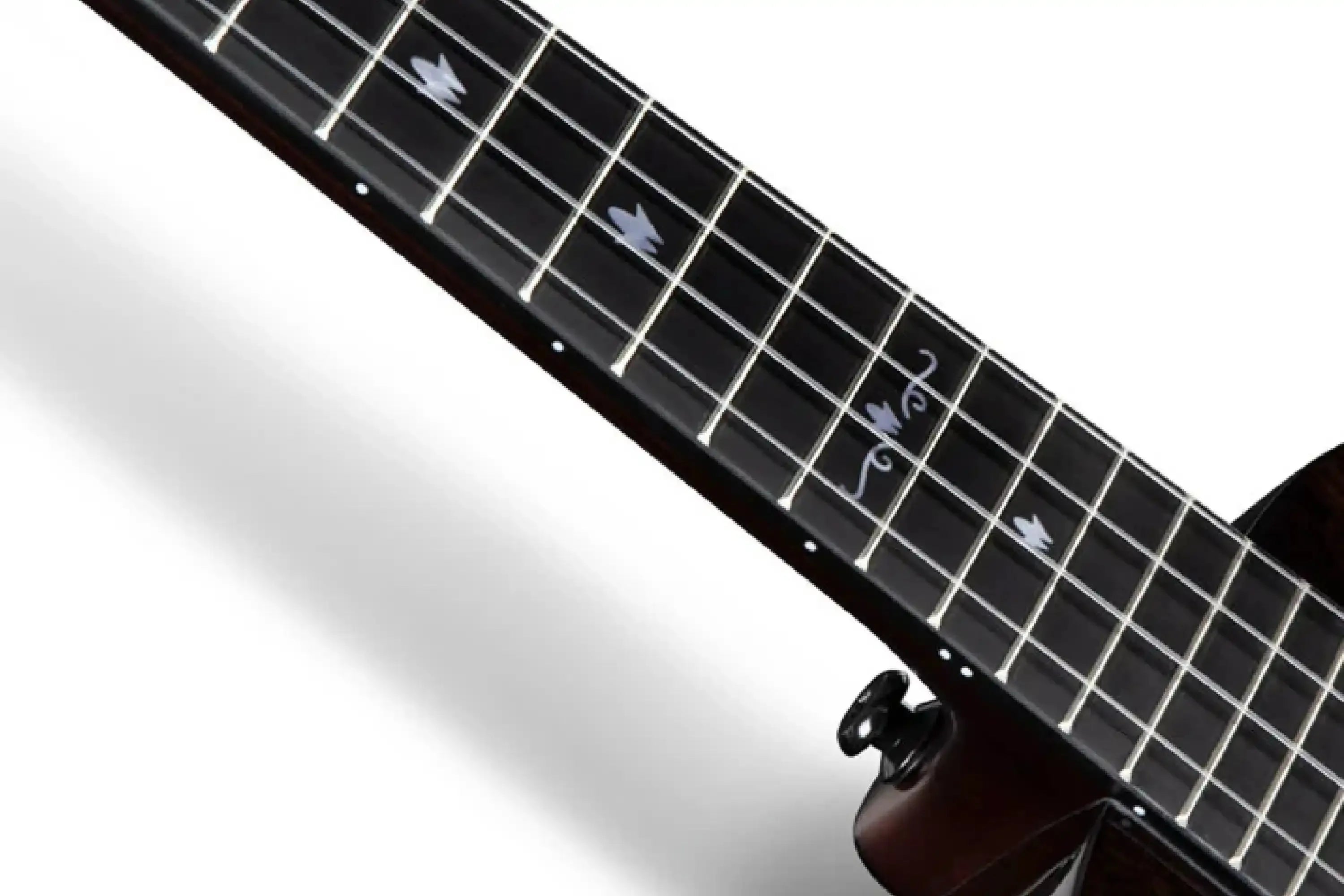 EnyaEUC-MAD-BKBlackSolidMahoganyConcertUkulele-01 | Terry Carter Music Store