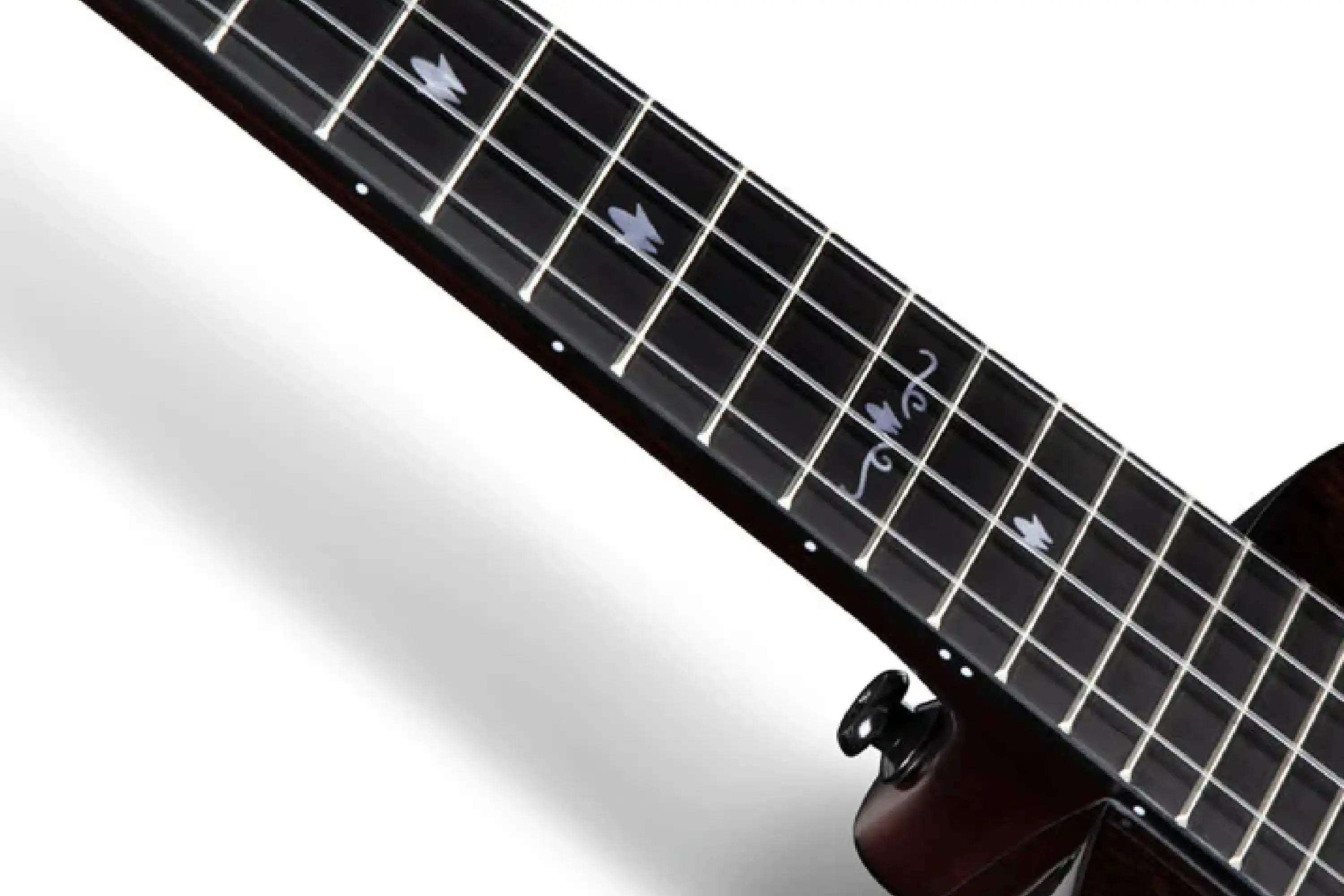 EnyaEUC-MAD-BKBlackSolidMahoganyConcertUkulele-01_b5bf717d-2ebc-4009-90e8-5543774fd9e5 | Terry Carter Music Store