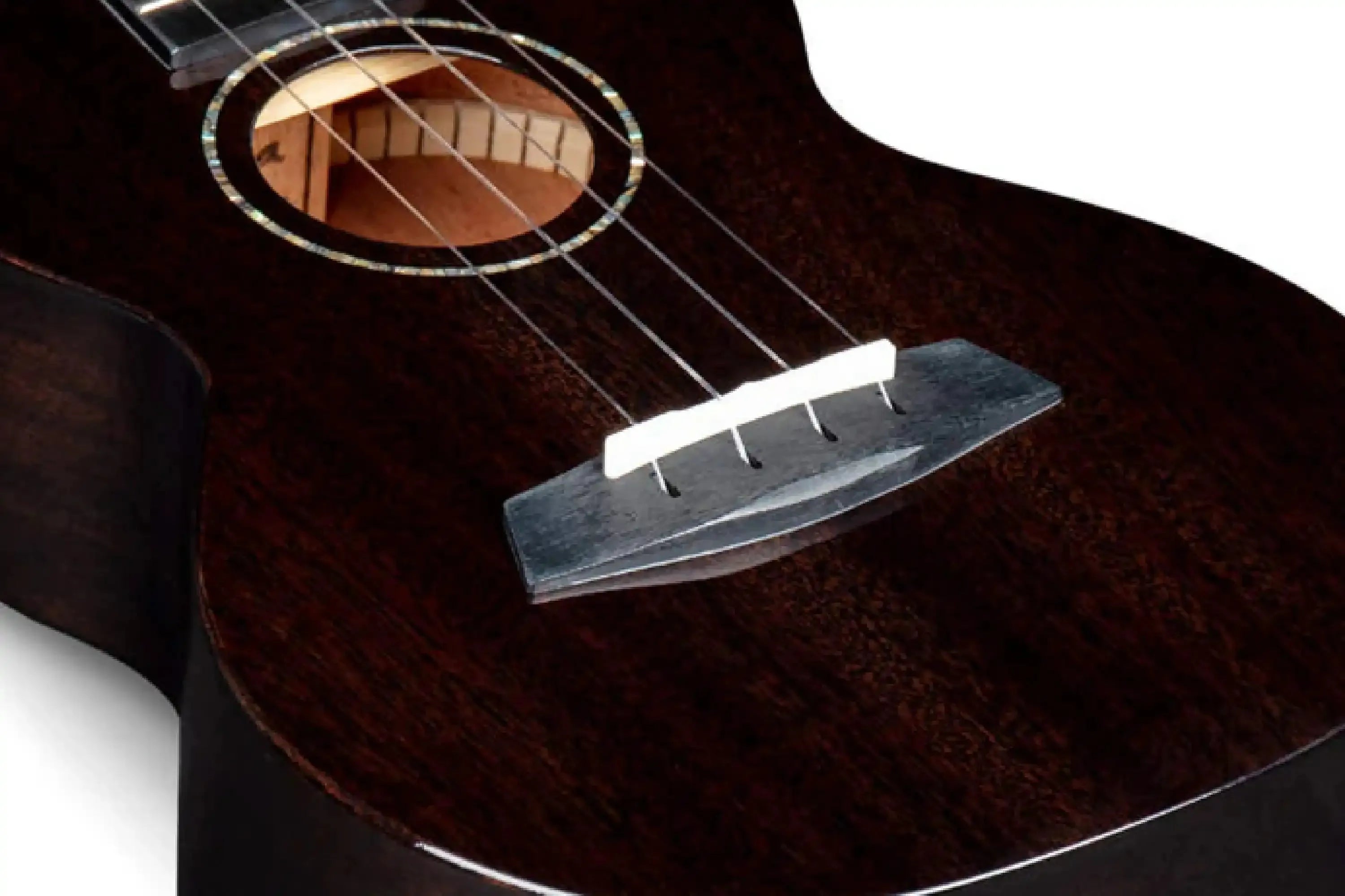 EnyaEUC-MAD-BKBlackSolidMahoganyConcertUkulele-03_c9d76c9a-3222-4034-b1be-1312c6d13d50 | Terry Carter Music Store
