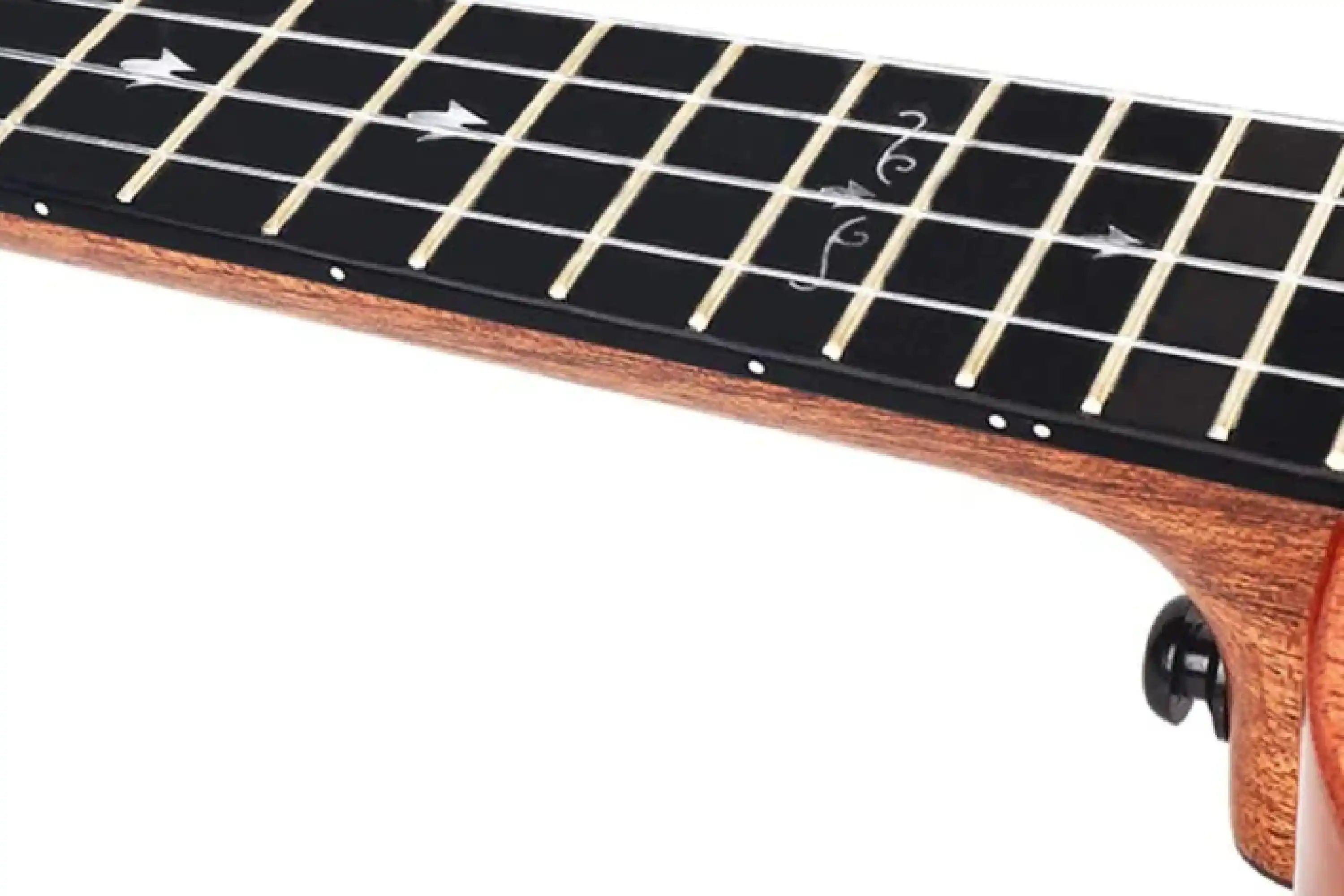 EnyaEUC-MADSolidMahoganyConcertUkulele-02_44a5ef89-197a-49bc-a178-2b9e2c158c26 | Terry Carter Music Store