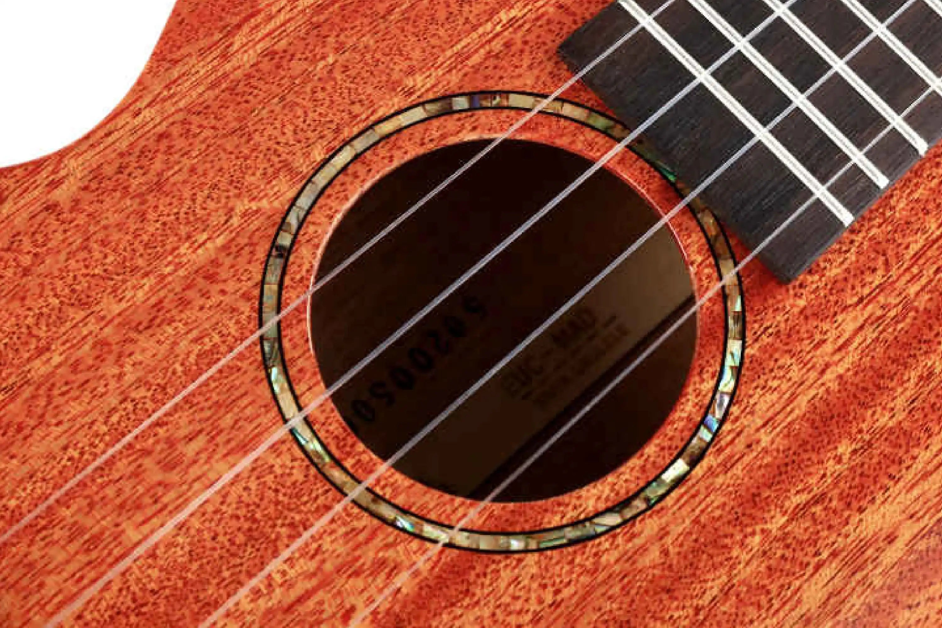 EnyaEUC-MADSolidMahoganyConcertUkulele-05_93209516-2363-44e7-8bb4-10a4b8ab8774 | Terry Carter Music Store