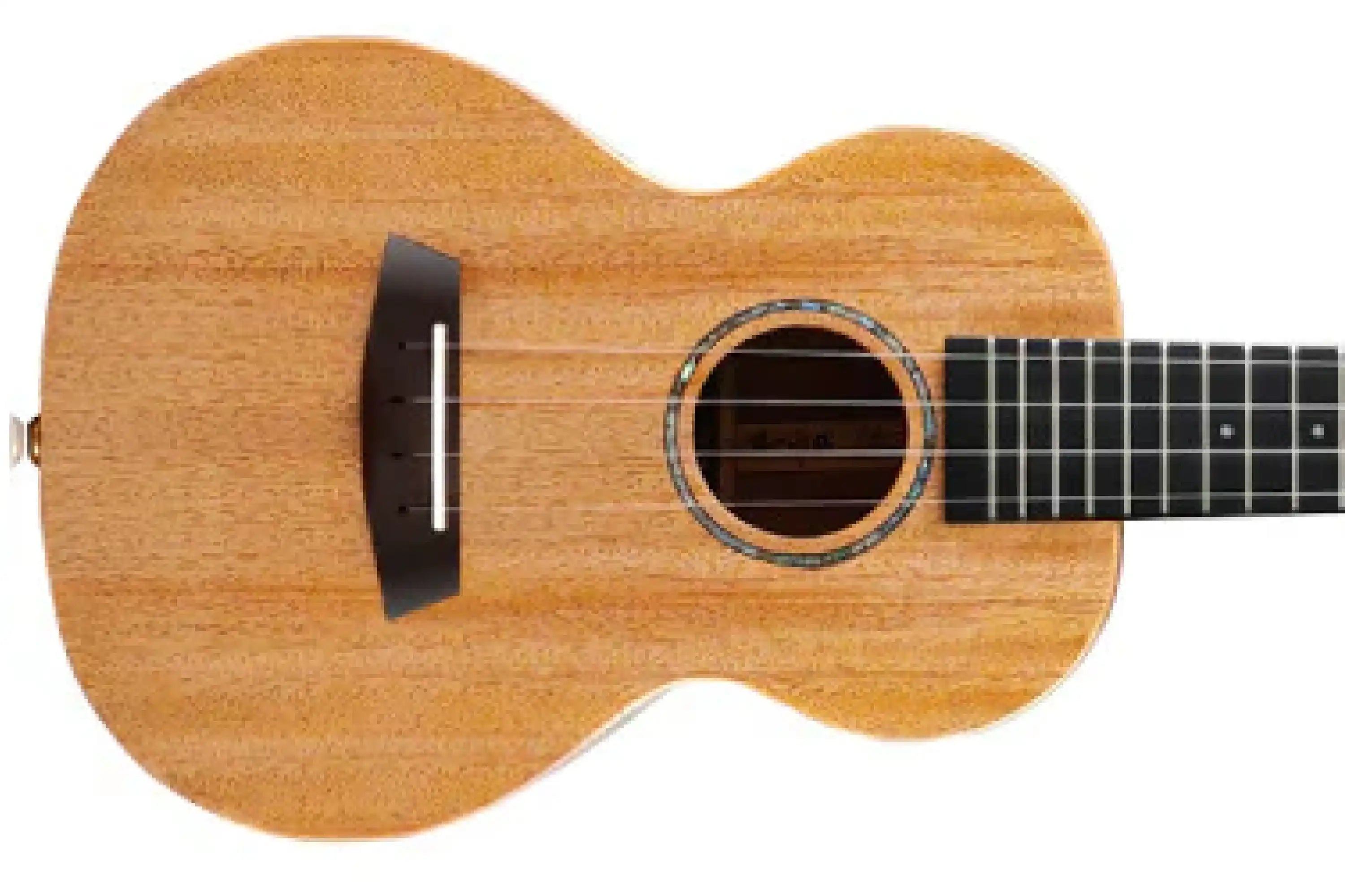 EnyaEUT-MSSolidMahoganyTenorUkulele-04_fd8fbcc6-f7a3-4e4d-8c25-0ac5587d5596 | Terry Carter Music Store