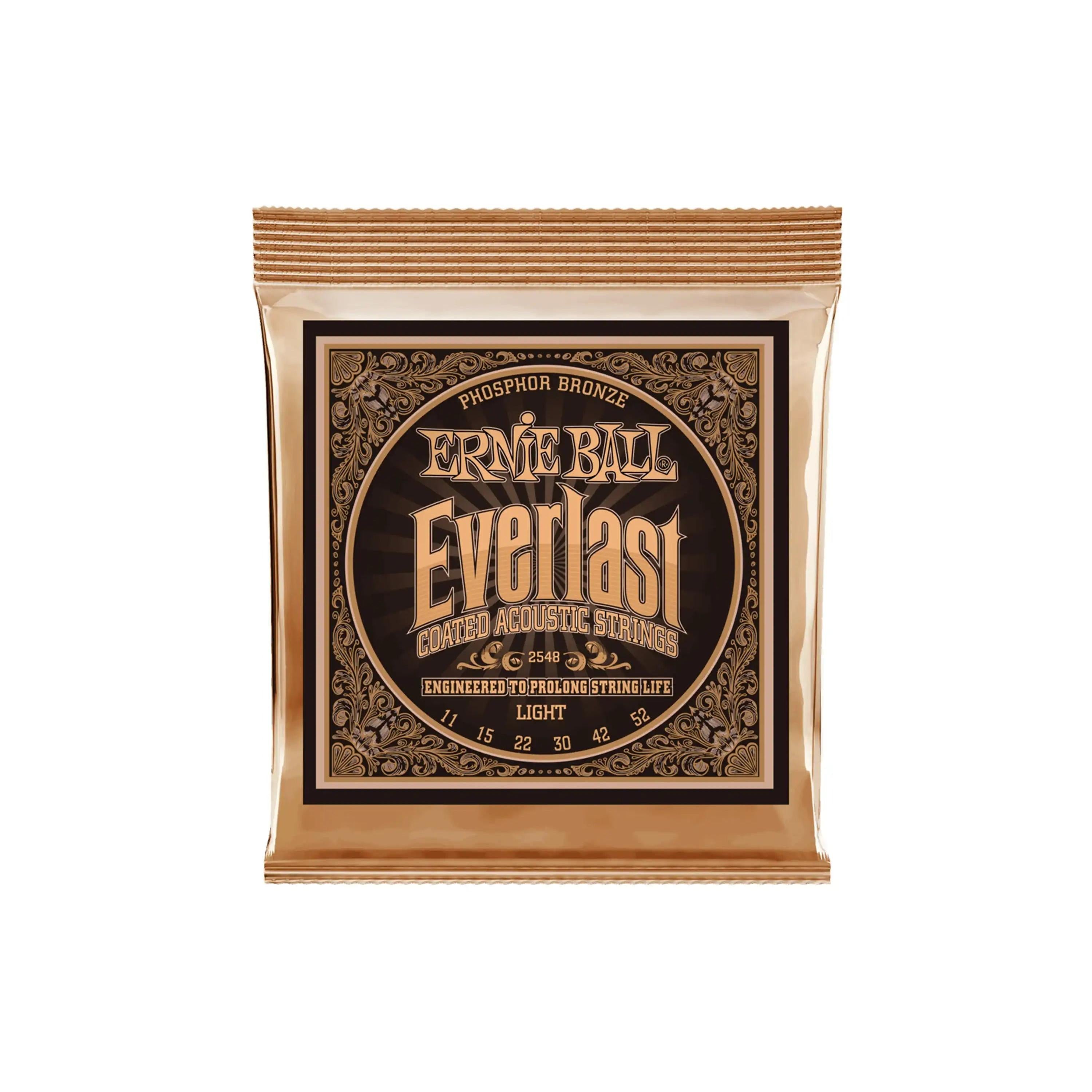 Ernie-Ball-Everlast-Light-Guitar-Strings-2 | Terry Carter Music Store