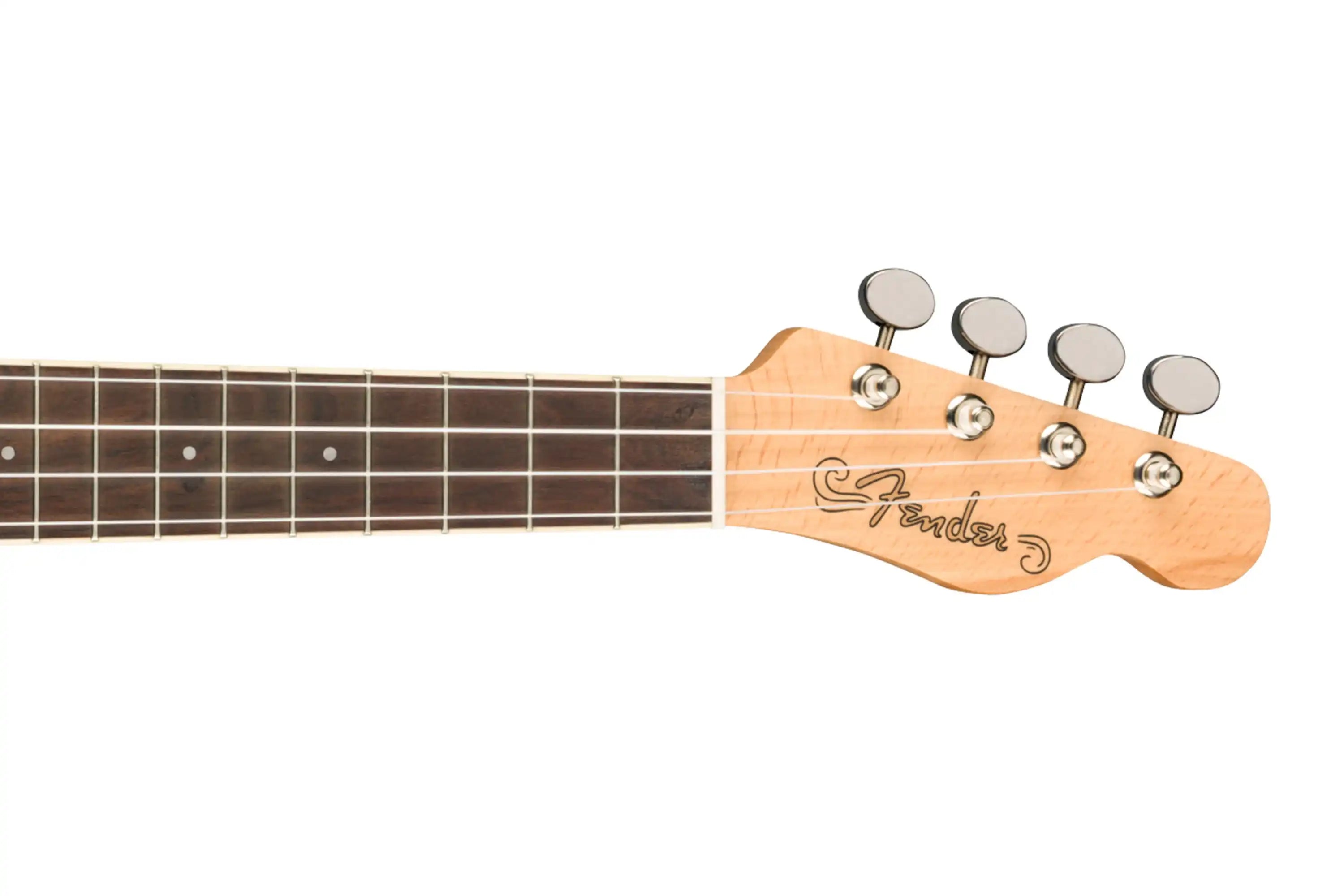 FENDER-TELE-BTB-CAMELLIA-2 | Terry Carter Music Store