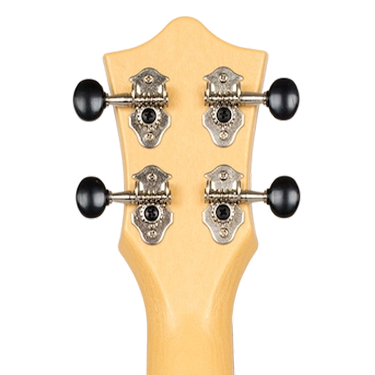 back of headstock