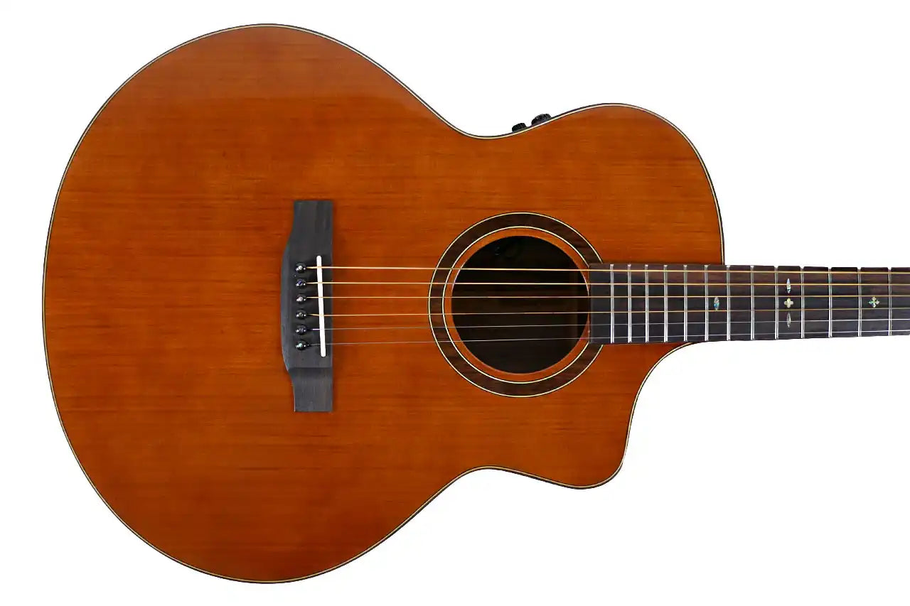 FX_PG73_1 | Terry Carter Music Store