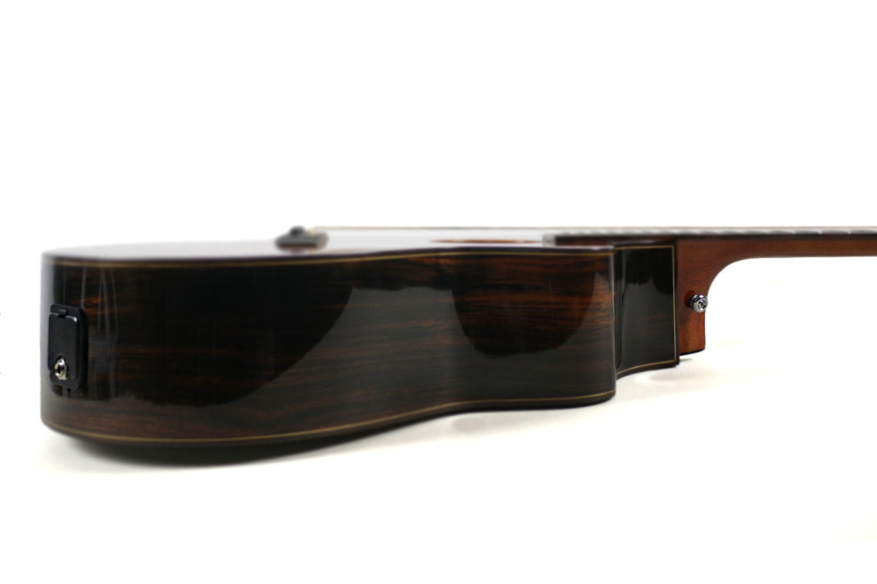 Willow Creek FX-PG73 Ebony Deluxe Guitar