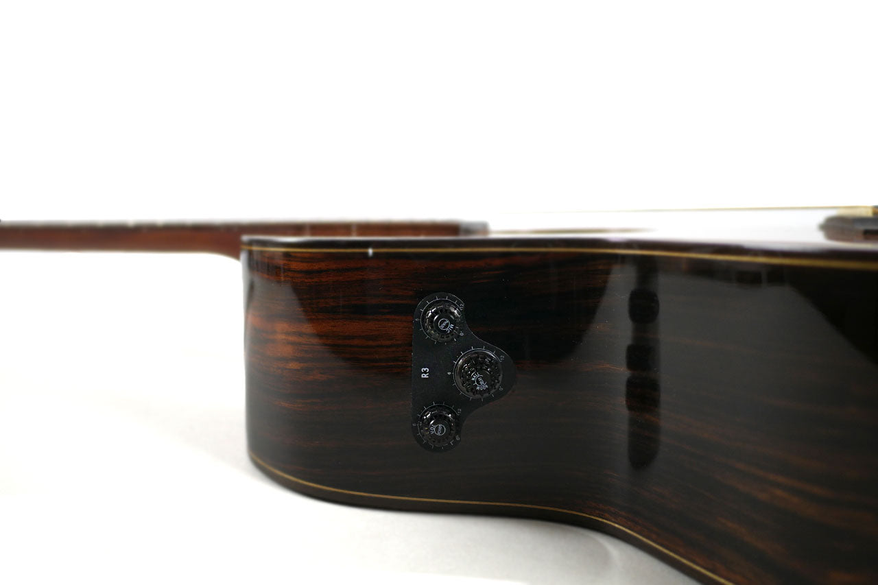 Willow Creek FX-PG73 Ebony Deluxe Guitar