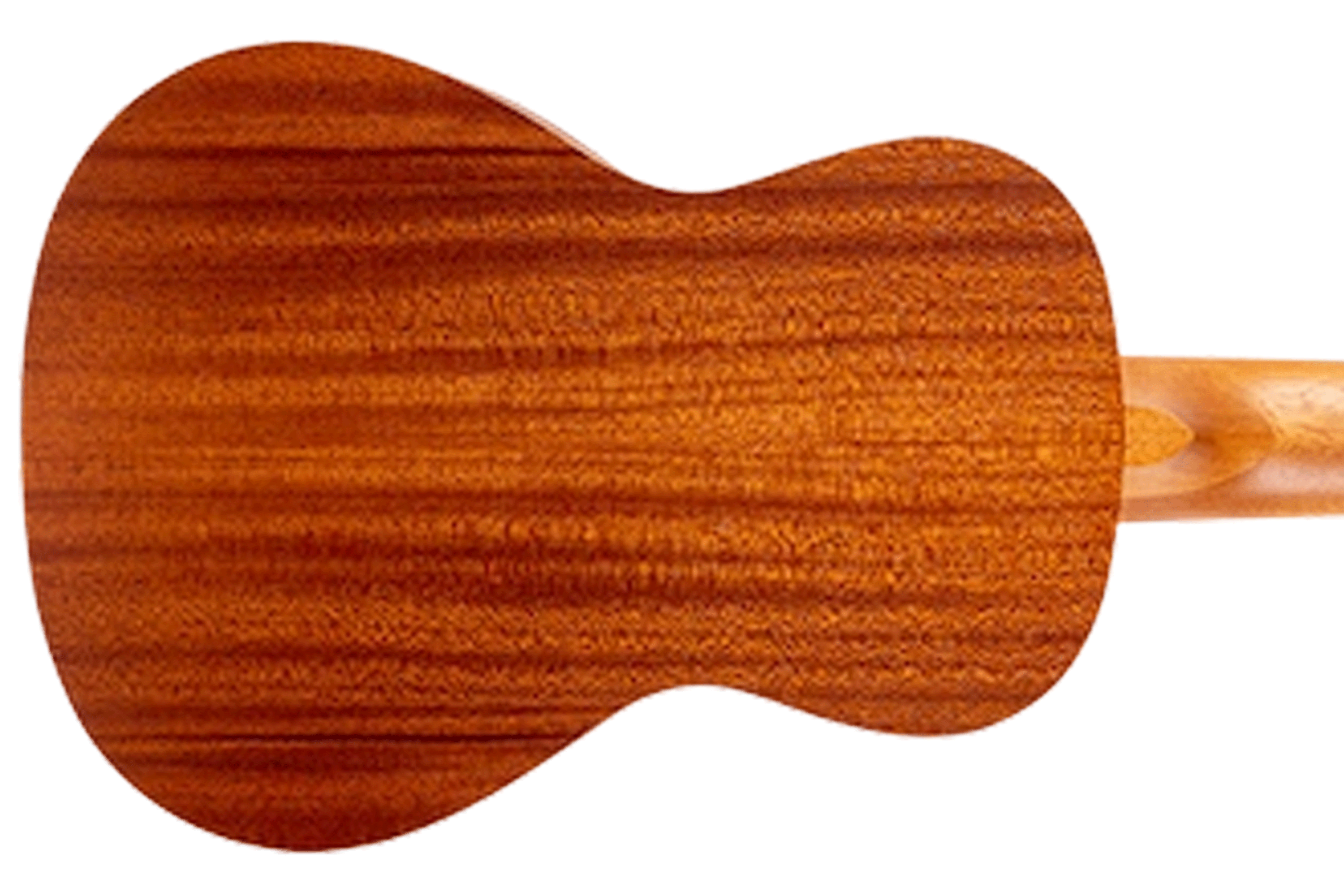 Flight AUC-33 Jungle Concert Ukulele