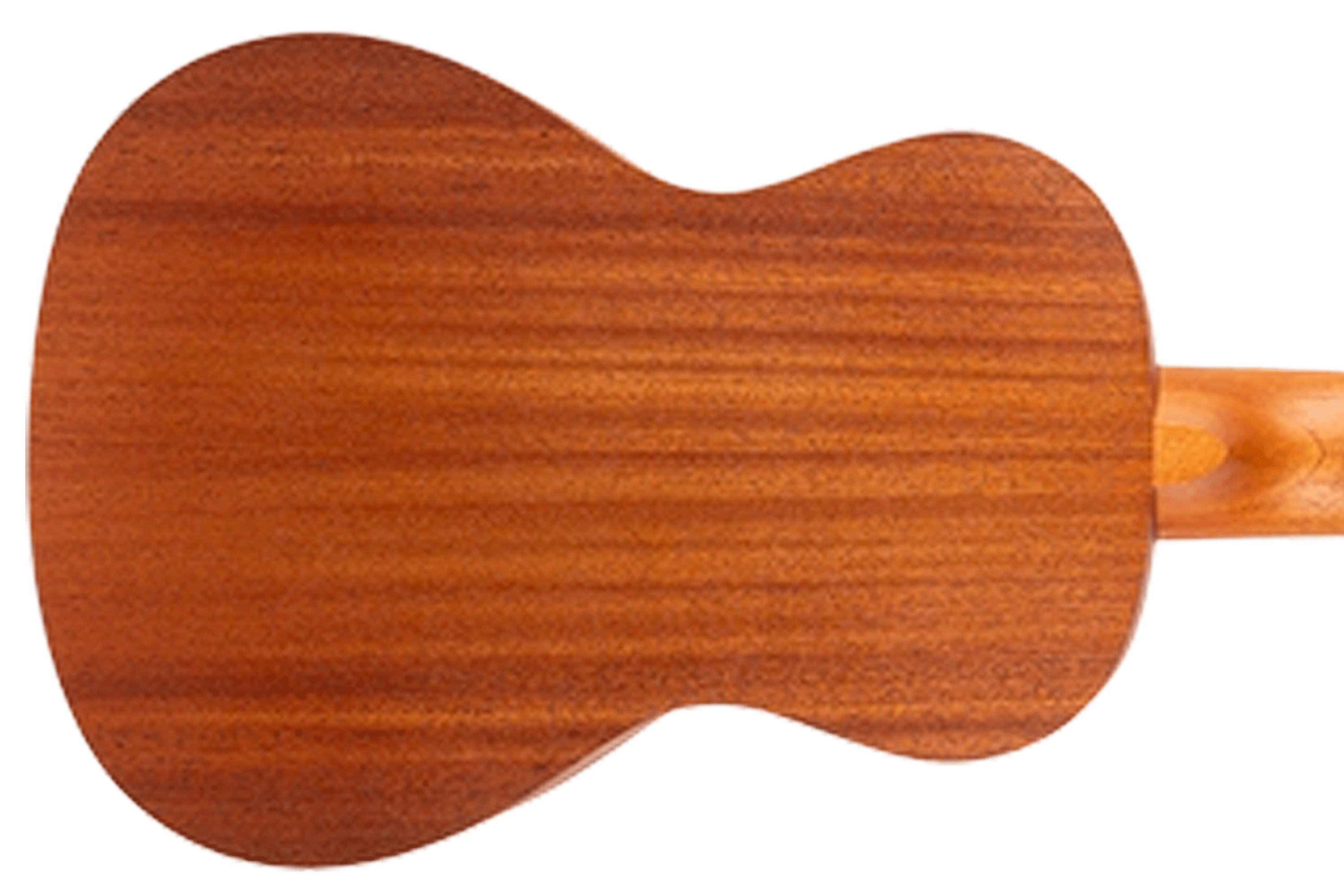 Flight AUC-33 Orchid Concert Ukulele