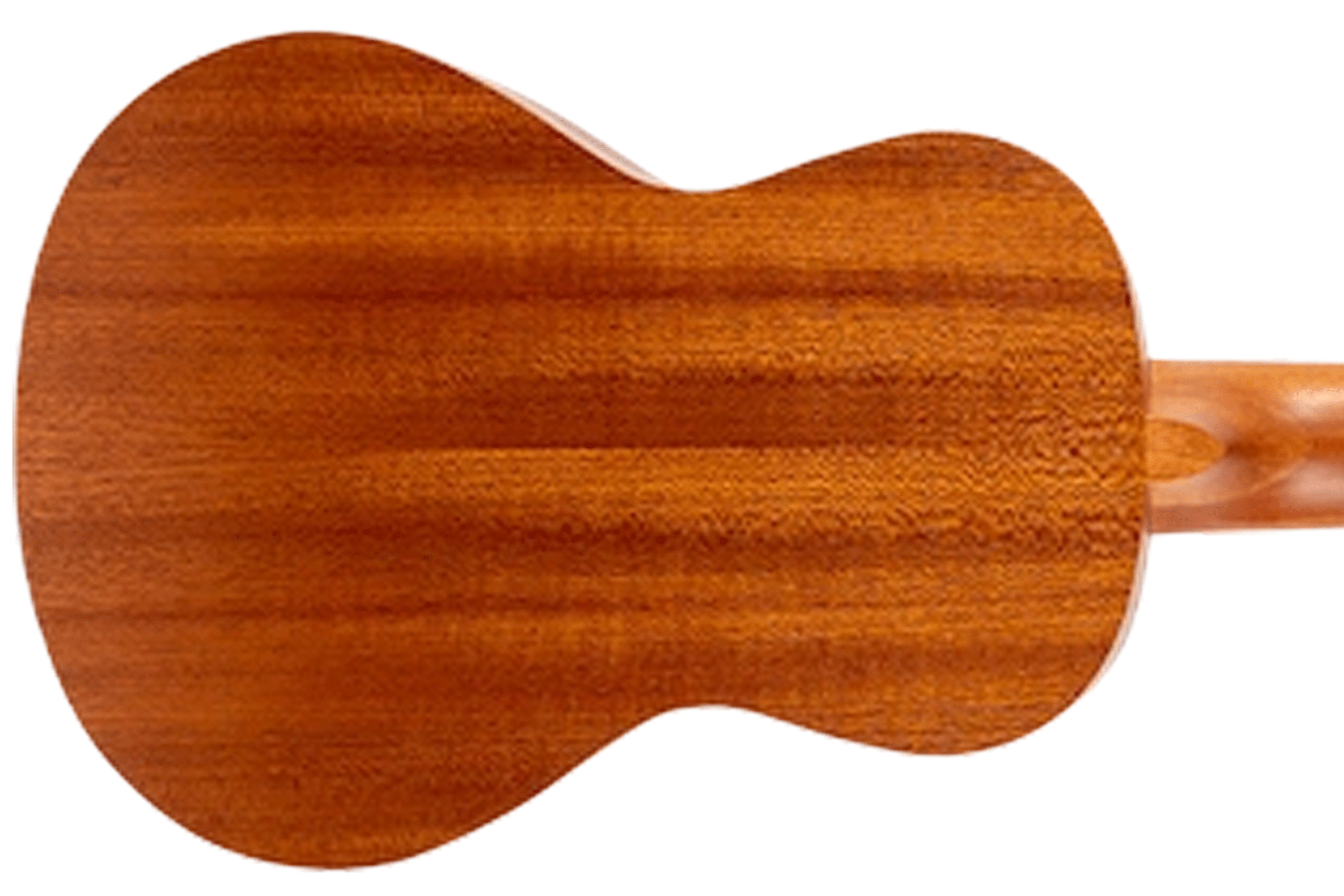 Flight AUC-33 Stardust Concert Ukulele