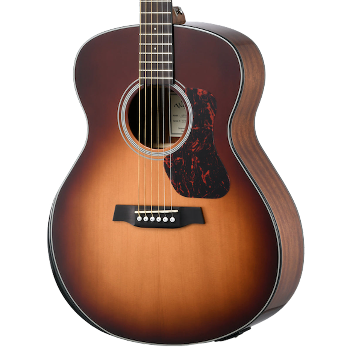 Walden Guitars G550REAB-G
