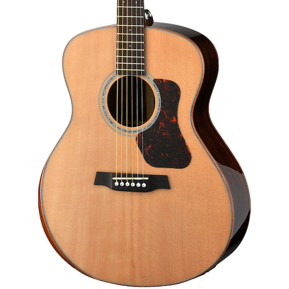 Walden Guitars G803RE-G