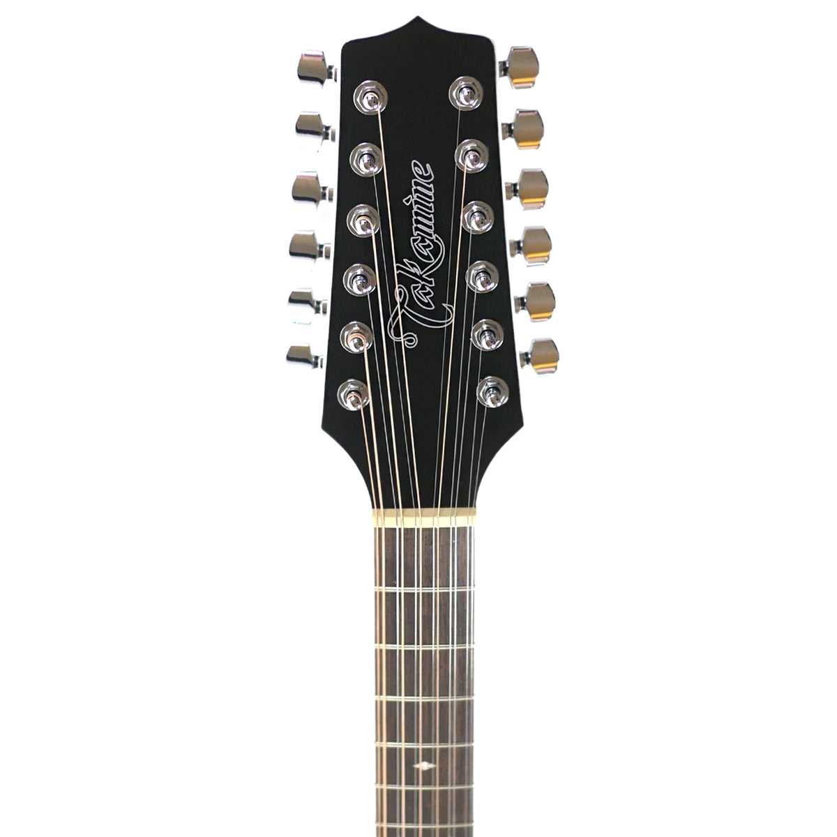 Takamine GD38CE-BLK Black 12-String Acoustic-Electric Guitar + 12-Month Lessons