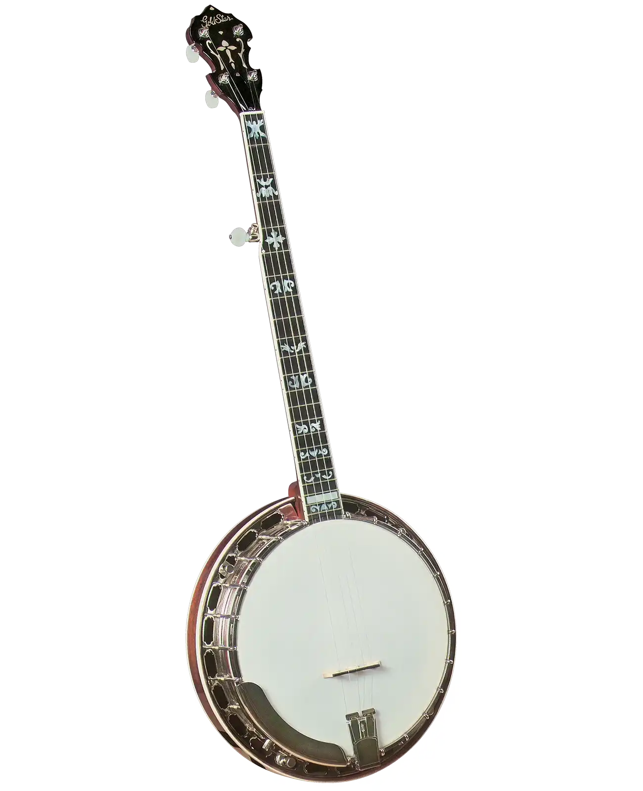 GF-100FE_a_bg | Terry Carter Music Store