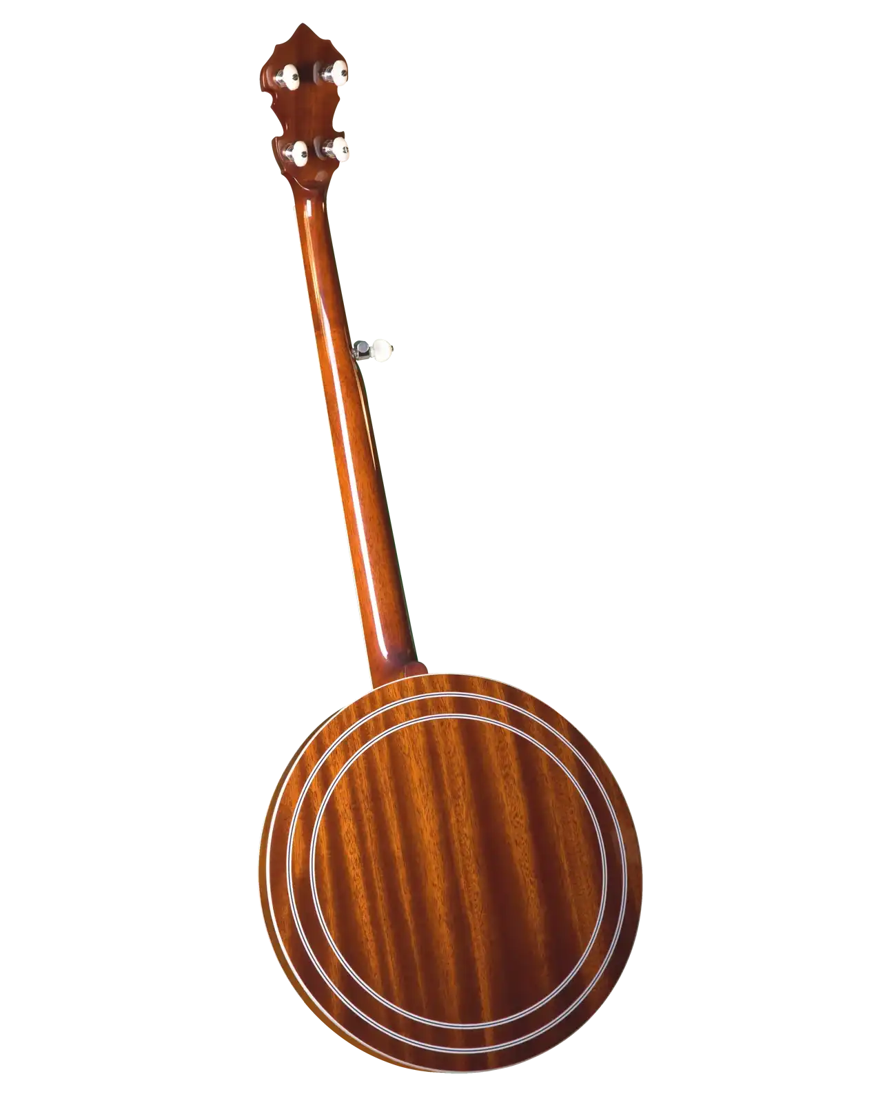 GF-100FE_b_bg | Terry Carter Music Store