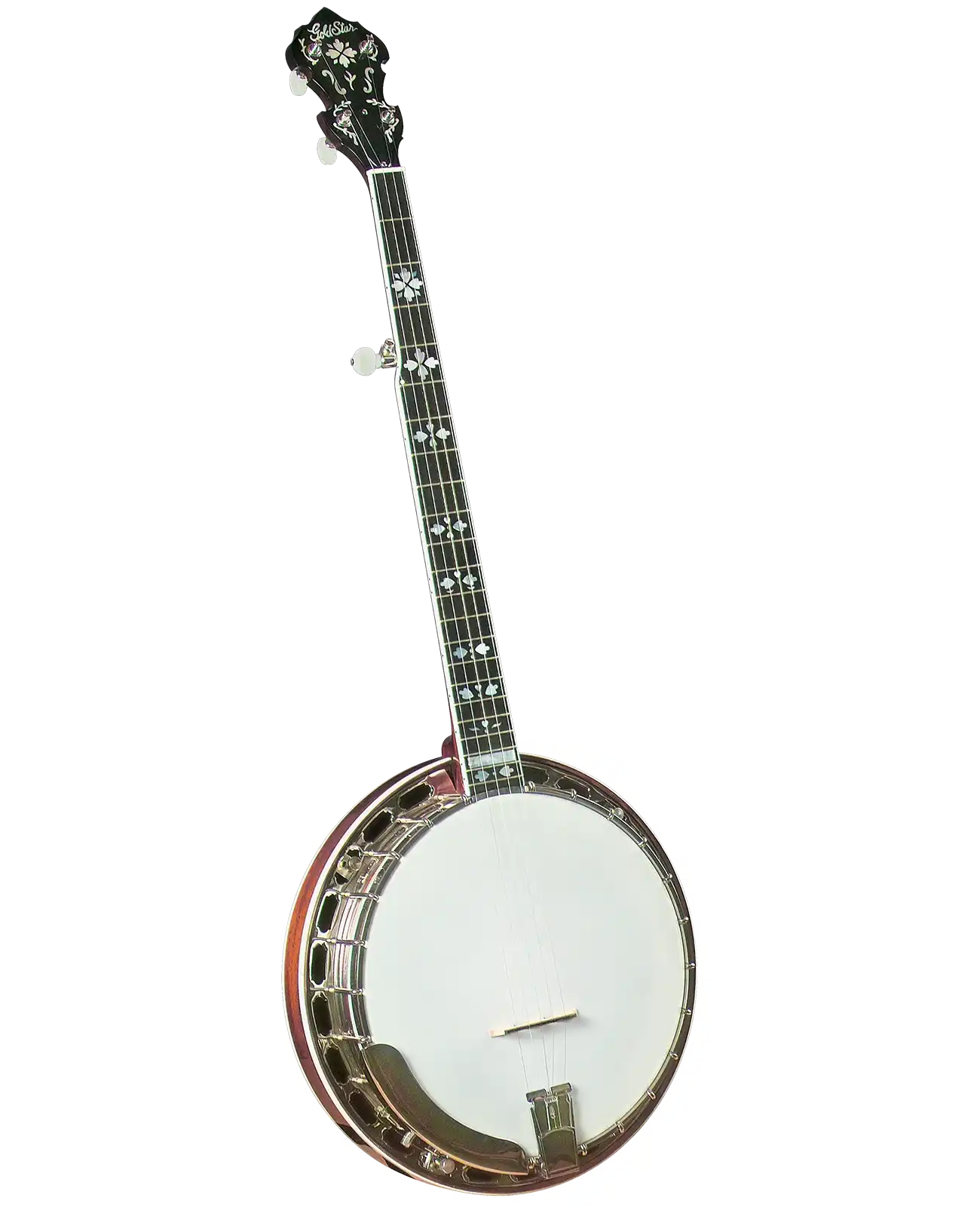 GF-100HF_a_bg | Terry Carter Music Store
