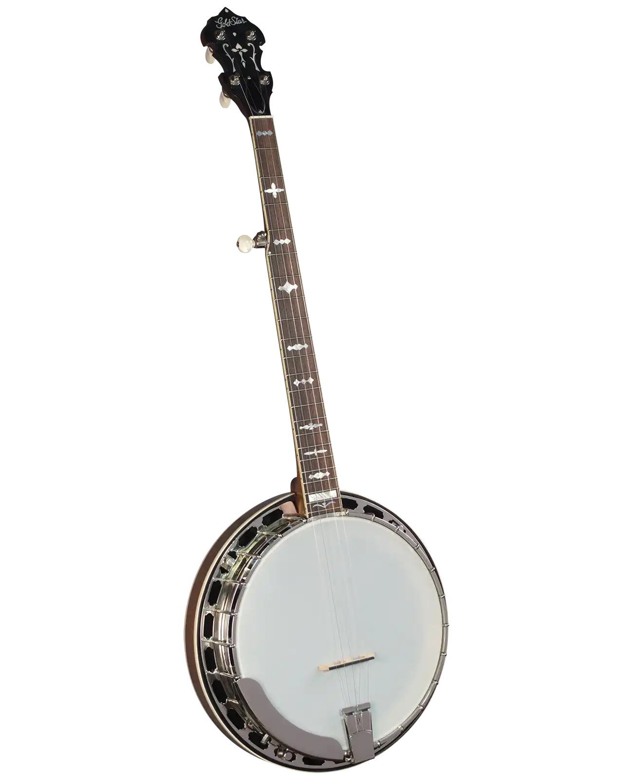 GF-100JD_a_bg | Terry Carter Music Store
