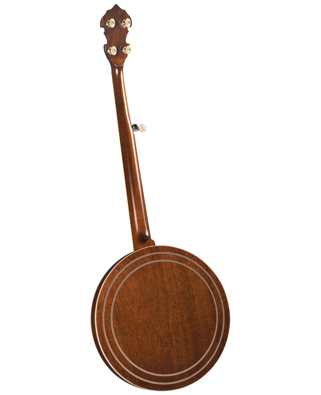 Gold Star GF-100JD Banjo