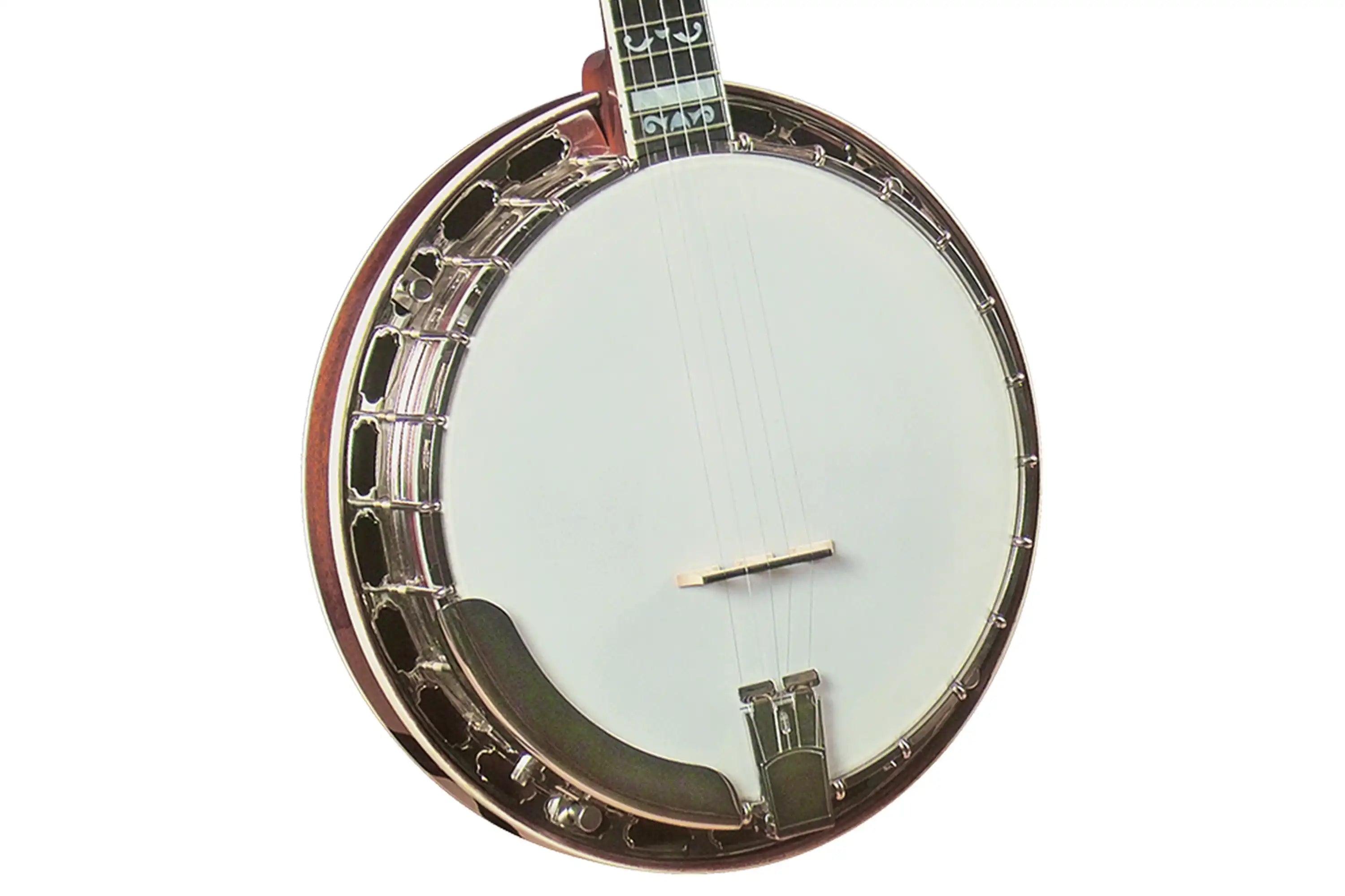 Gold-Star-GF-100FE-Banjo1 | Terry Carter Music Store