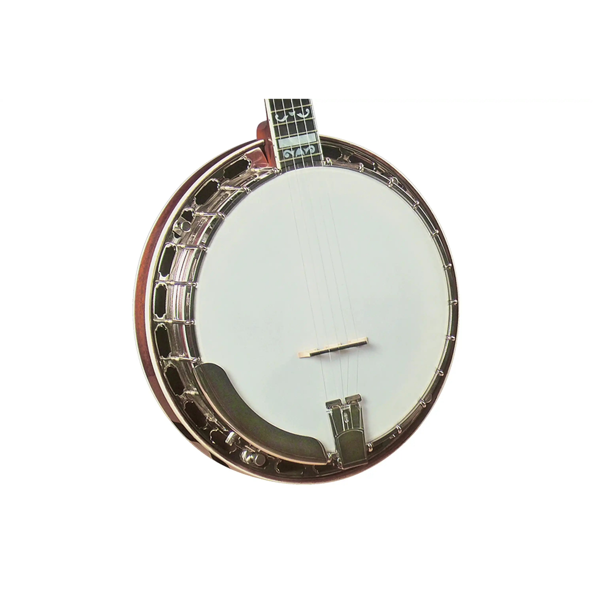 Gold-Star-GF-100FE-Banjo1 | Terry Carter Music Store