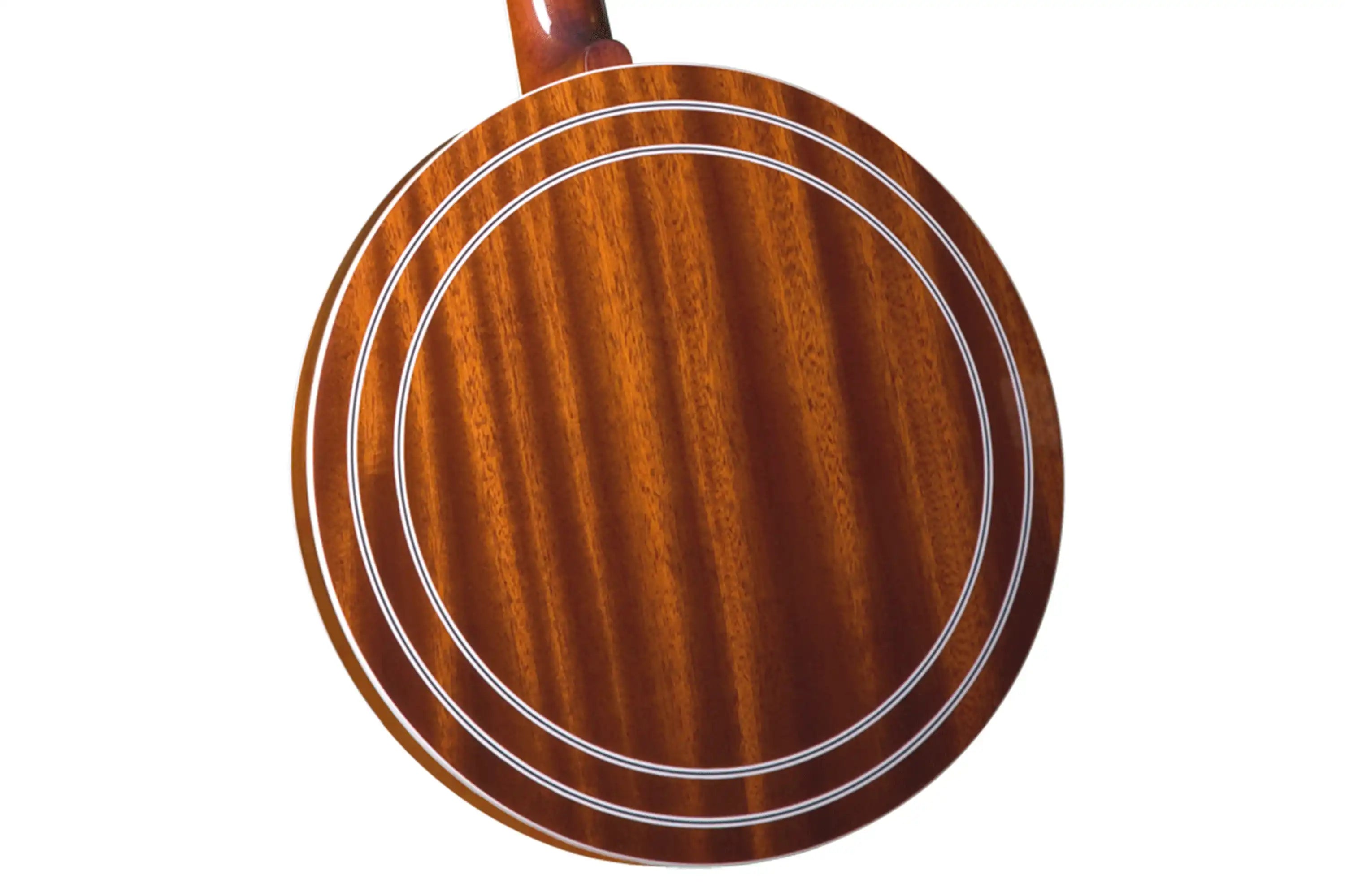Gold-Star-GF-100FE-Banjo2 | Terry Carter Music Store