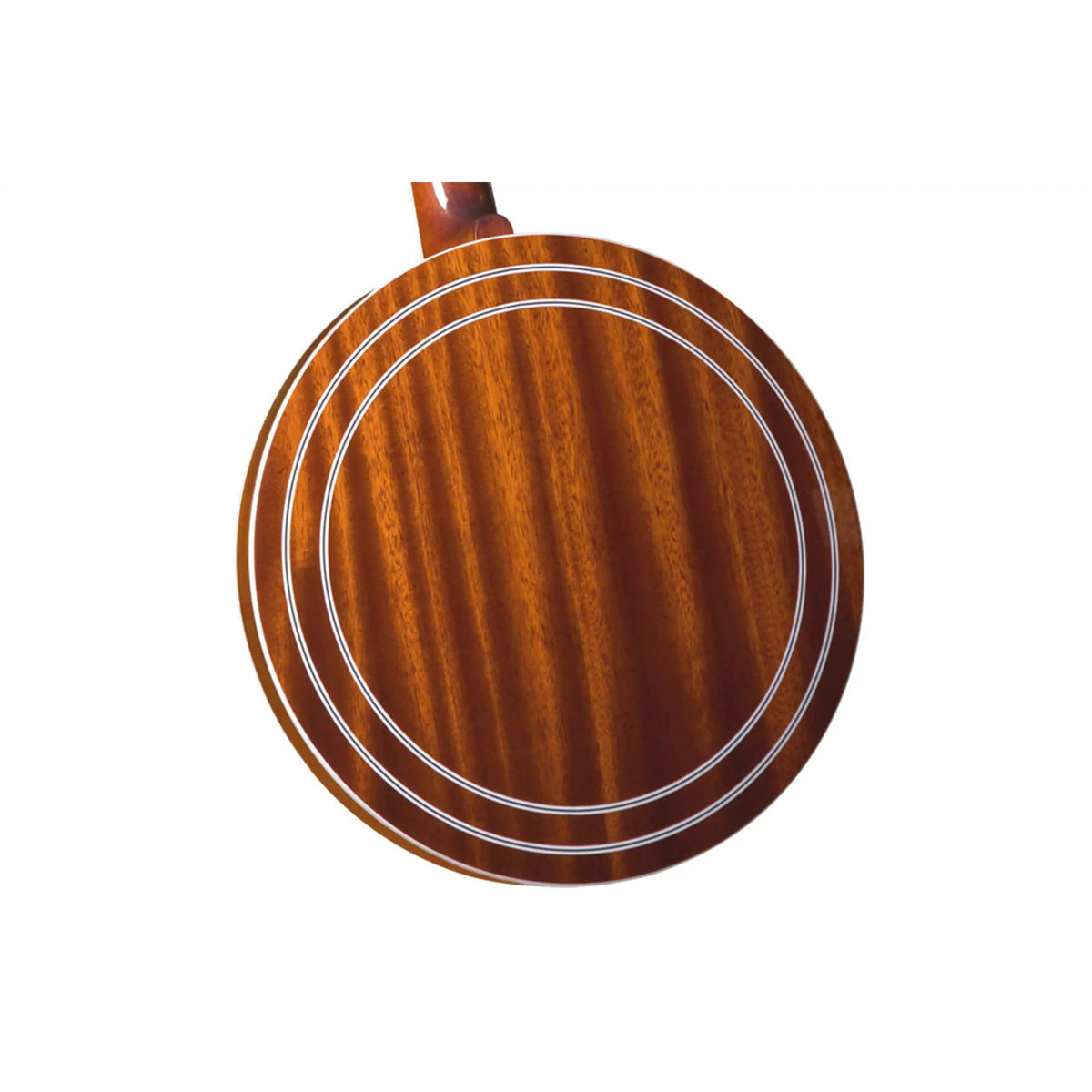 Gold-Star-GF-100FE-Banjo2 | Terry Carter Music Store