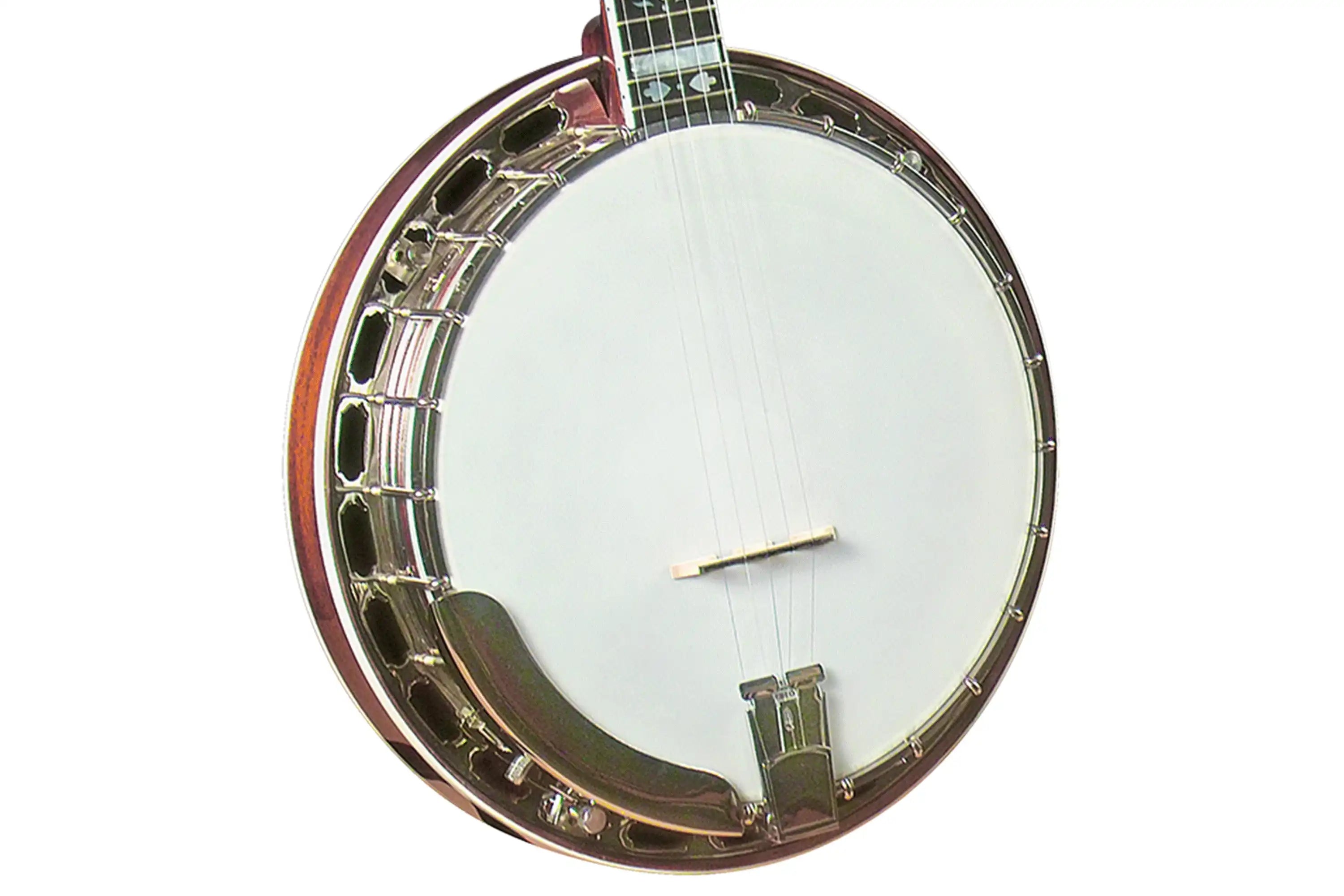 Gold-Star-GF-100HF-Banjo1 | Terry Carter Music Store