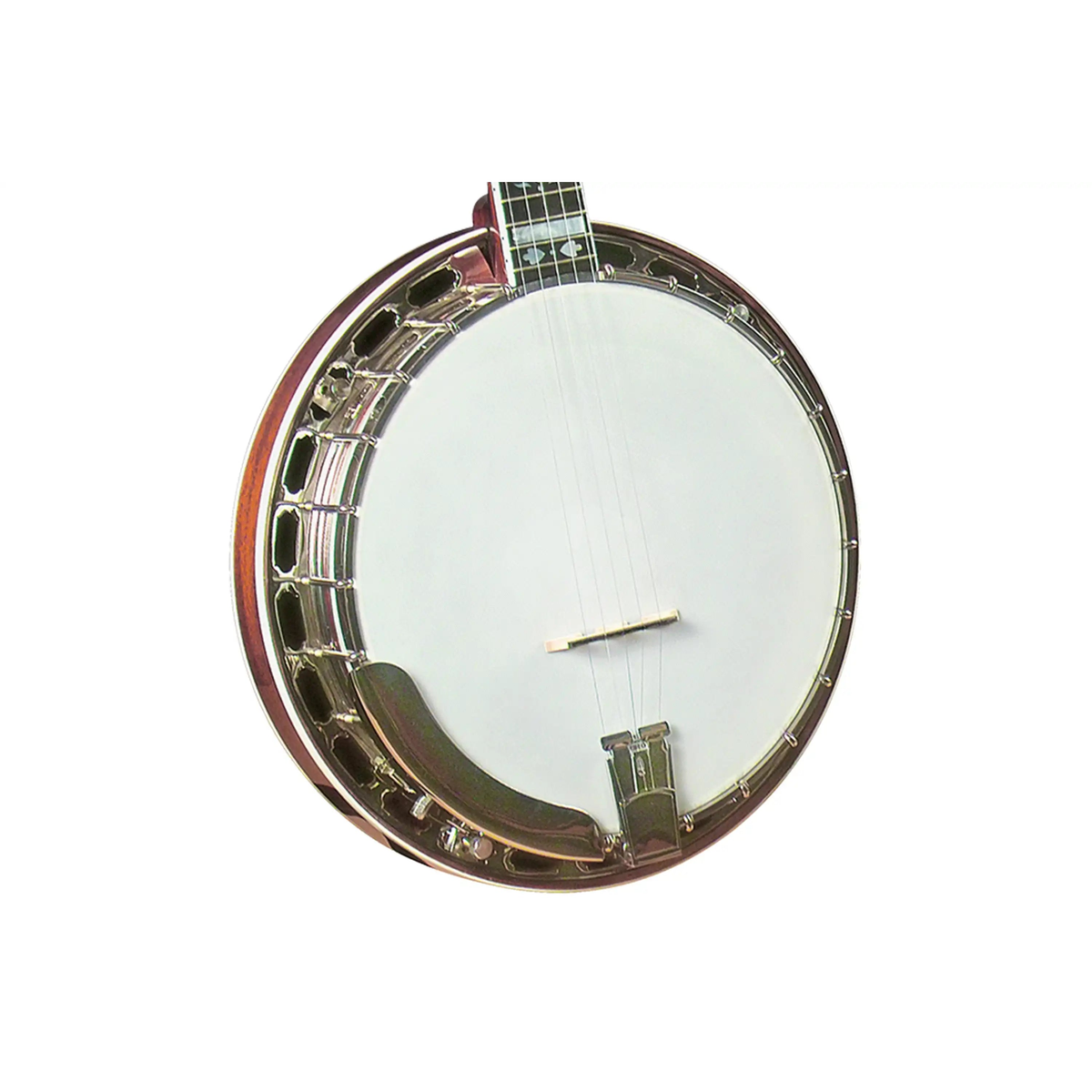 Gold-Star-GF-100HF-Banjo1 | Terry Carter Music Store