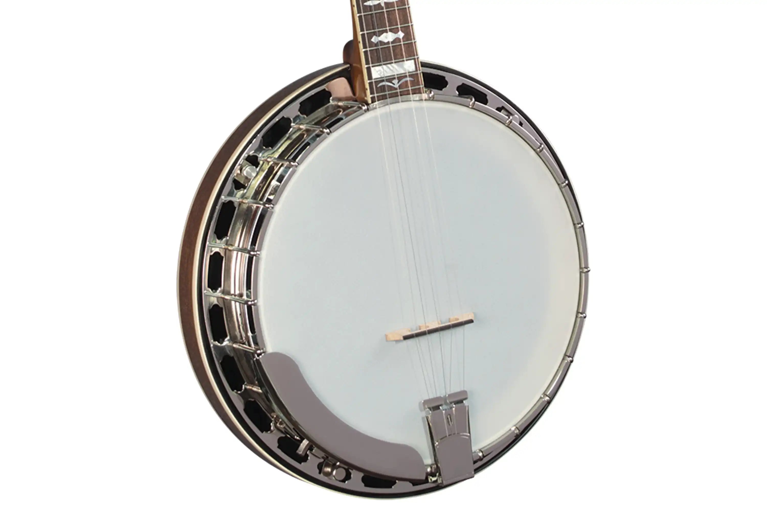 Gold-Star-GF-100JD-Banjo1 | Terry Carter Music Store