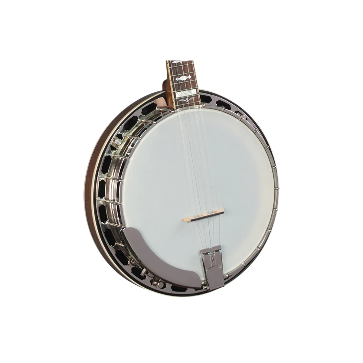 Gold-Star-GF-100JD-Banjo1 | Terry Carter Music Store