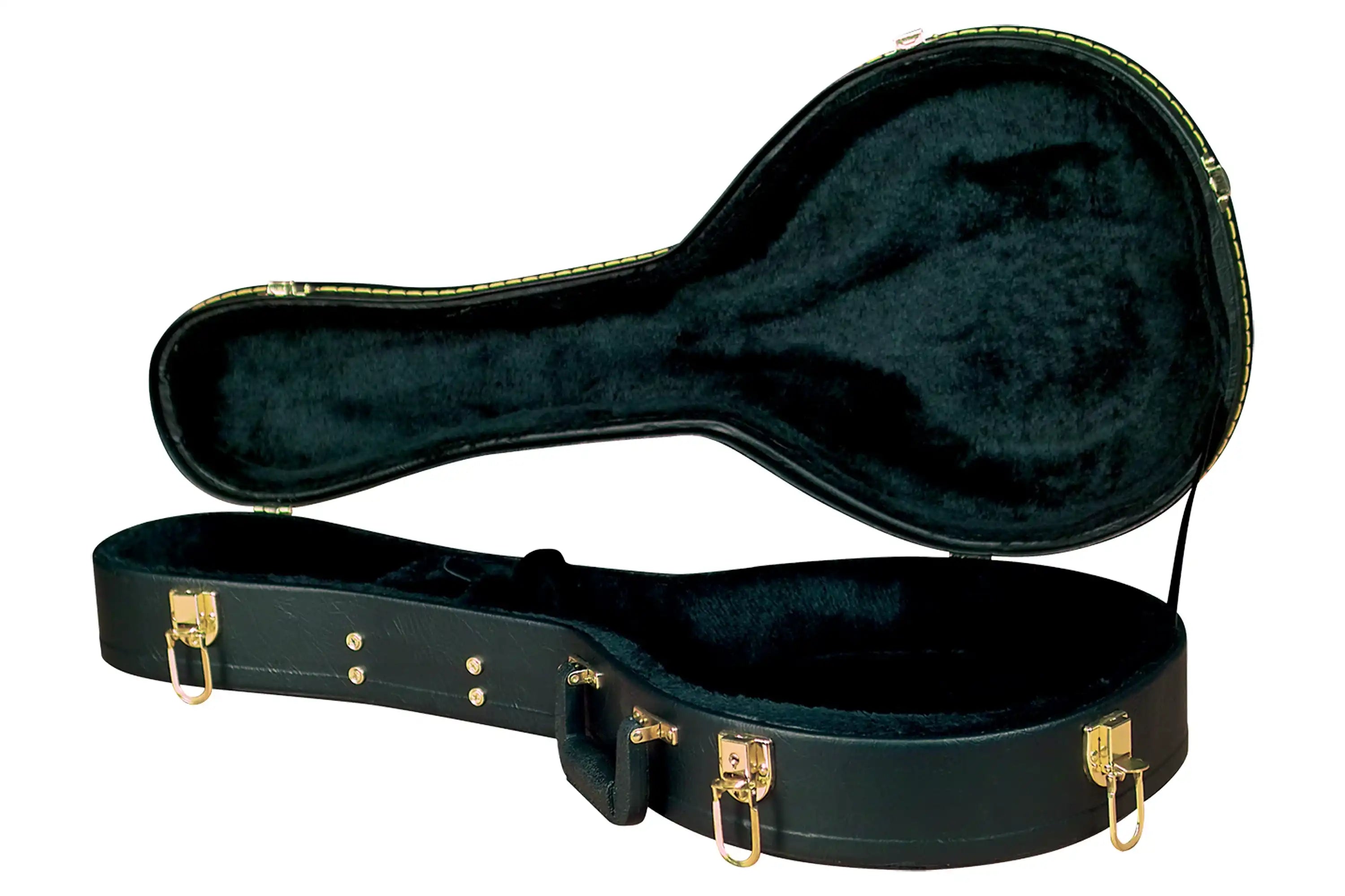 Golden-Gate-C-1521-A-Model-Mandolin-Case | Terry Carter Music Store
