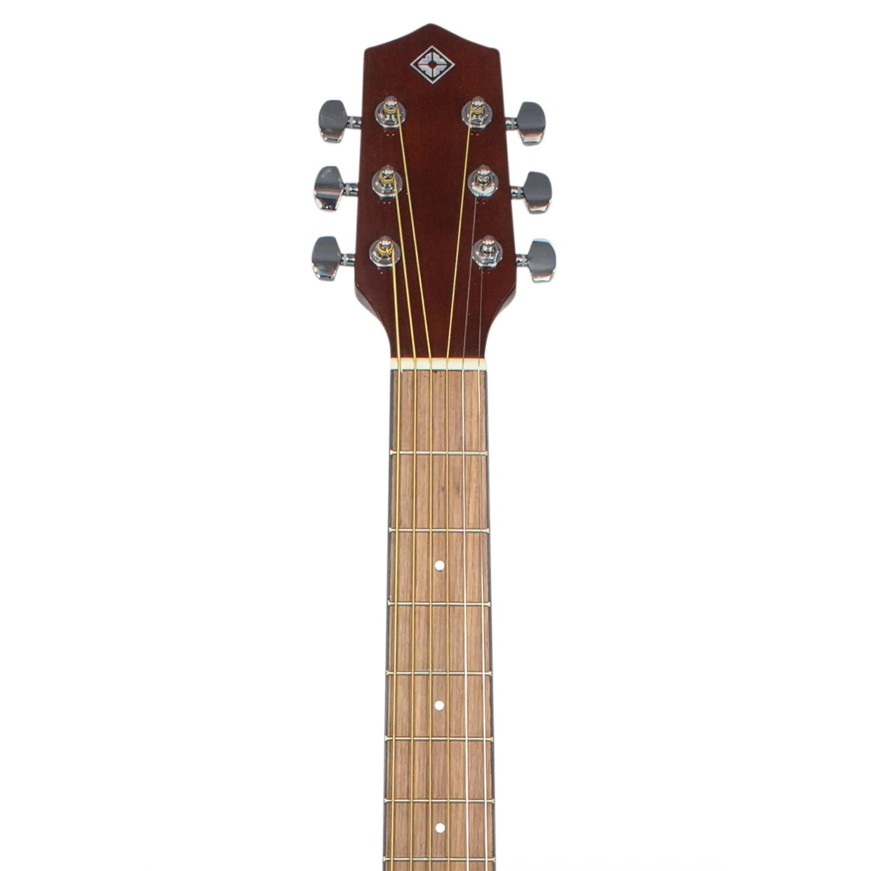 H.-Jimenez-LGR100SE-Full-Size-Guitar6 | Terry Carter Music Store