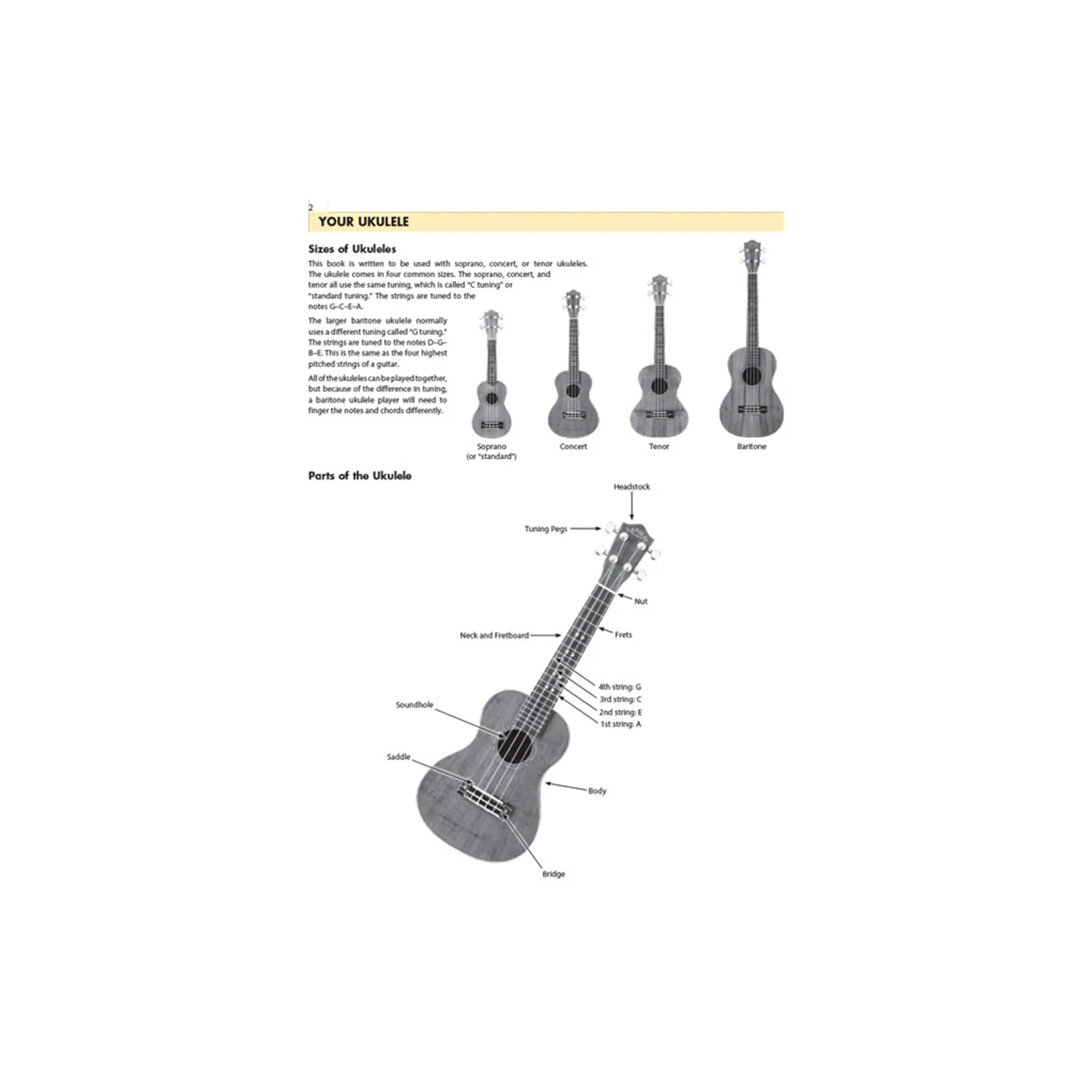HL00129050-3 | Terry Carter Music Store