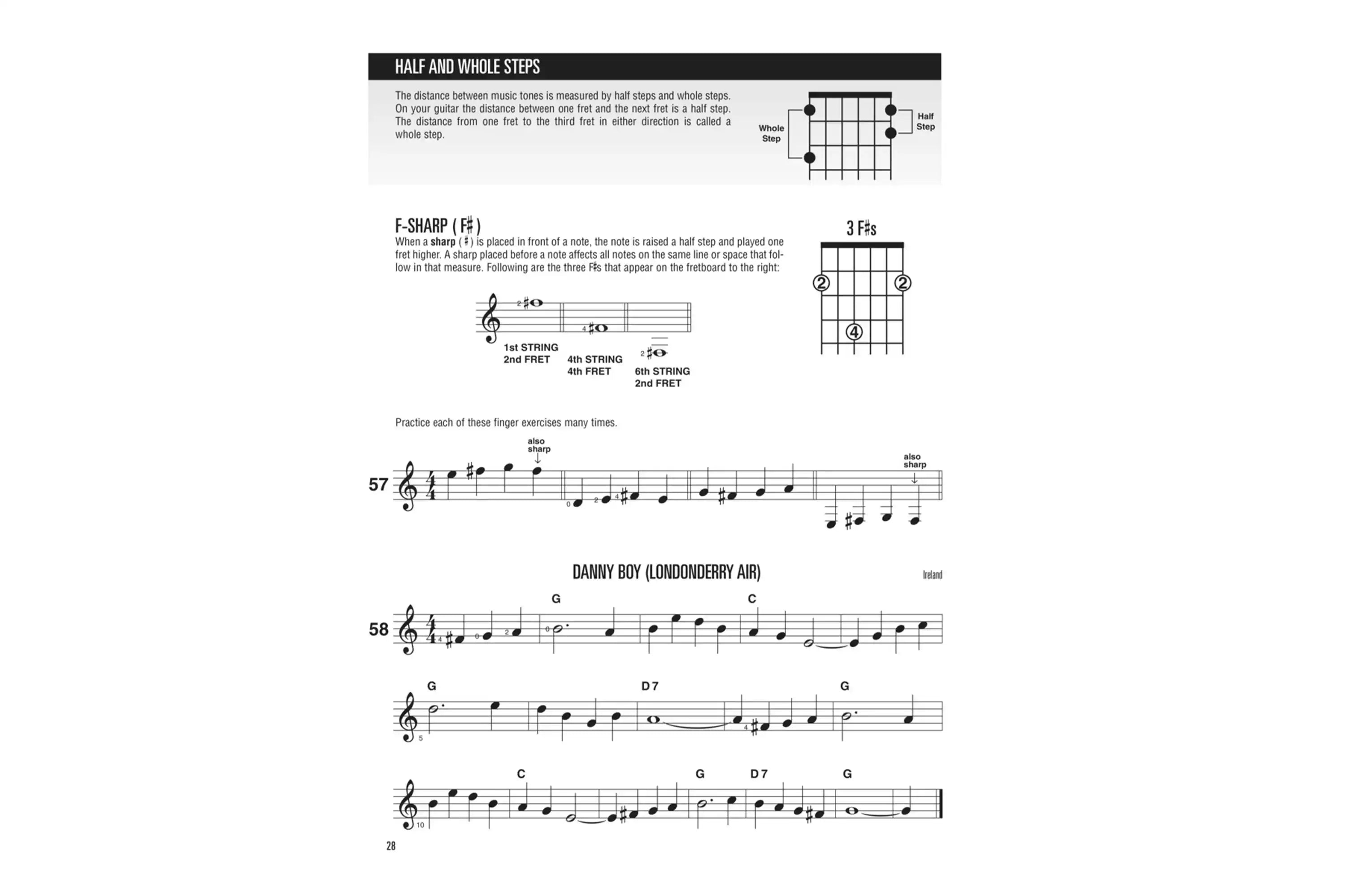 HL00699040-6 | Terry Carter Music Store